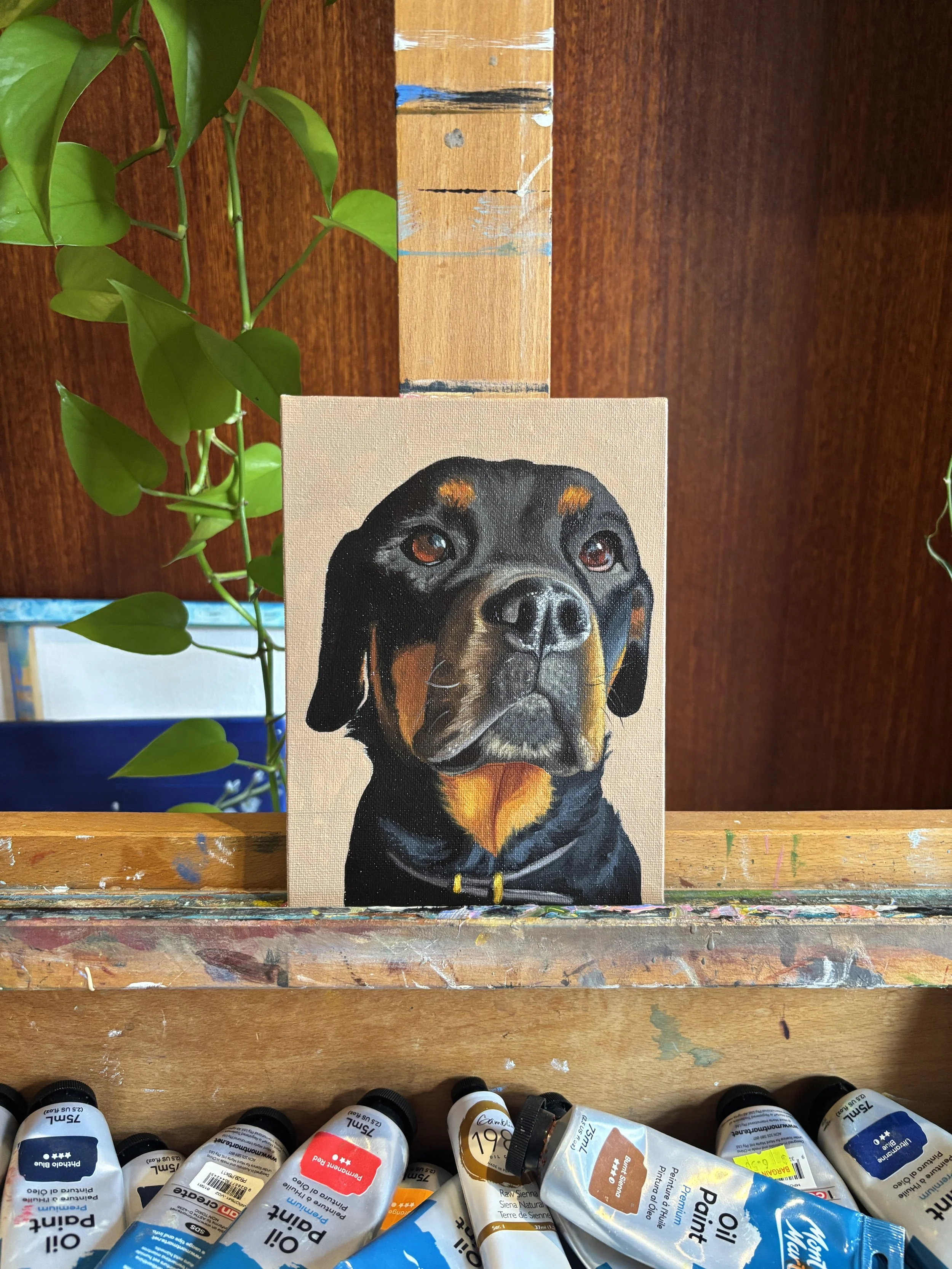 A painting of a Rottweiler dog on a small canvas, surrounded by art supplies, with green plant and wooden background.
