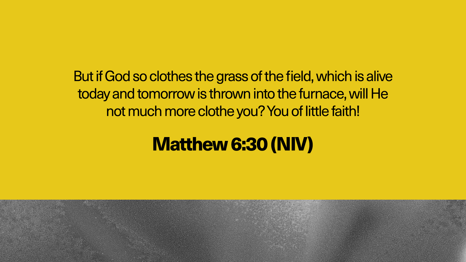 Scripture Screens.png