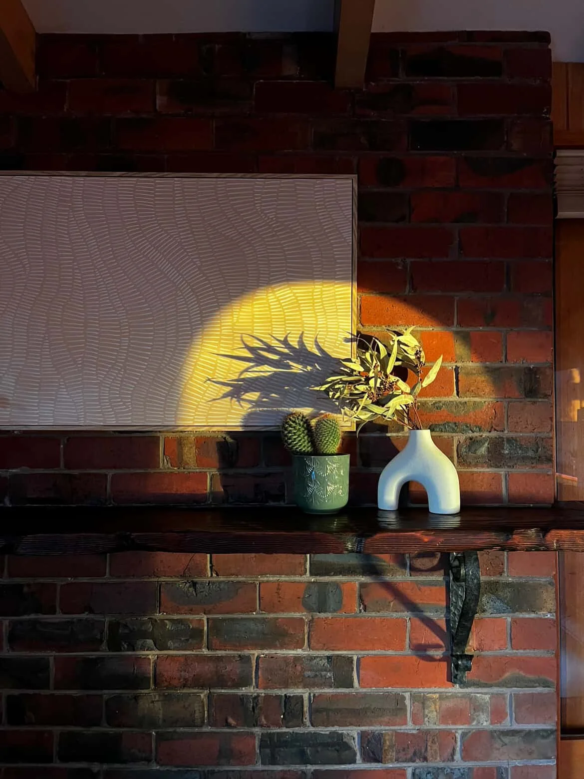 A brick wall with a wooden shelf holding two potted plants, one with cactus and the other with leafy branches, illuminated by sunlight creating a shadow on a white textured panel.
