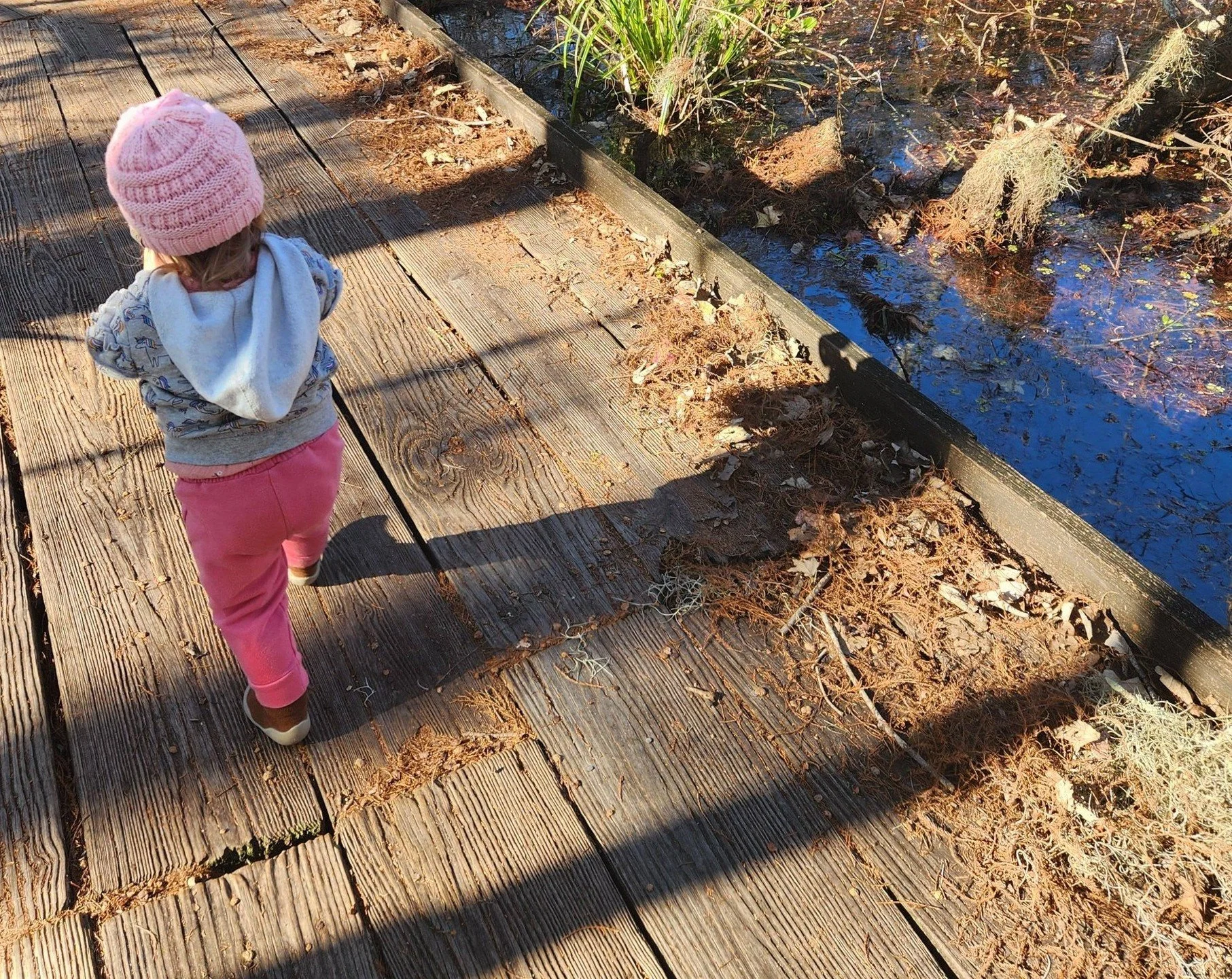 Hiking with a Toddler