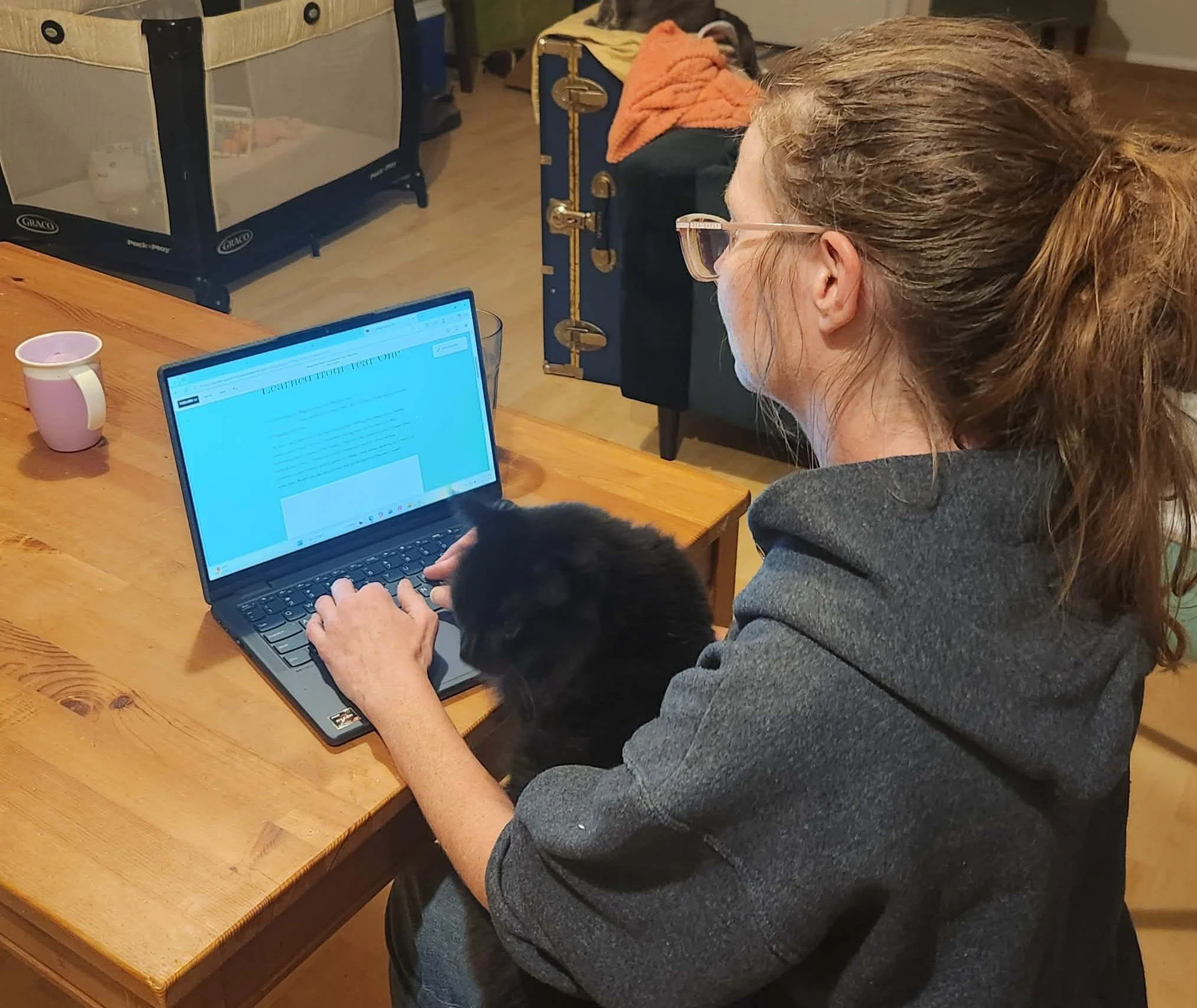 Blogging:                What I’ve Learned from Year One