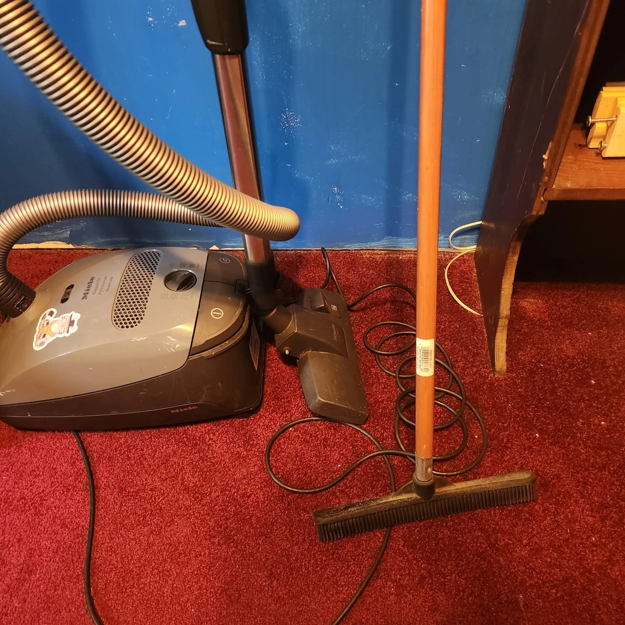 DIY Natural Carpet Cleaning for a Home with Kids and Pets
