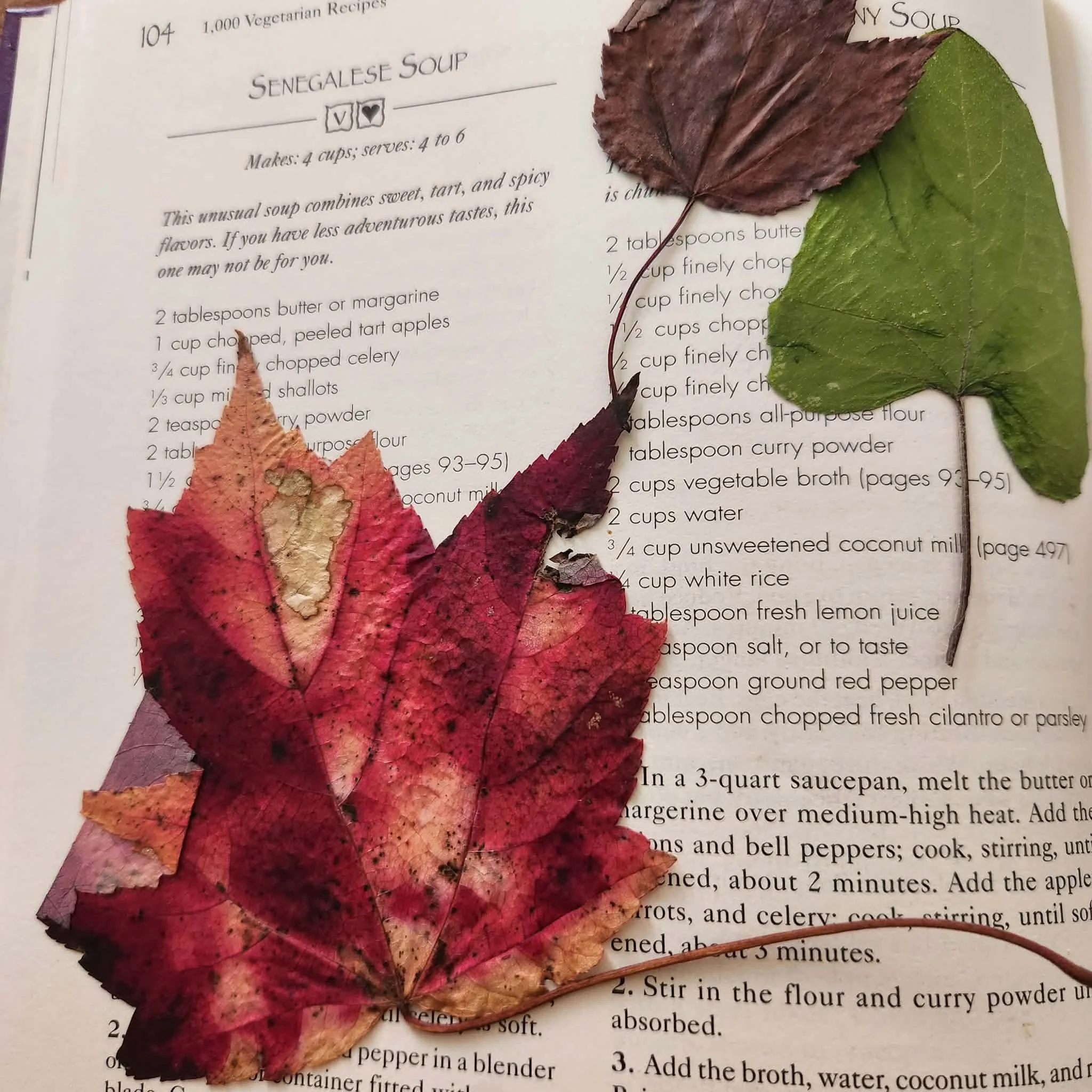 Red, brown, and green leaves are pressed into a cookbook against a soup recipe.