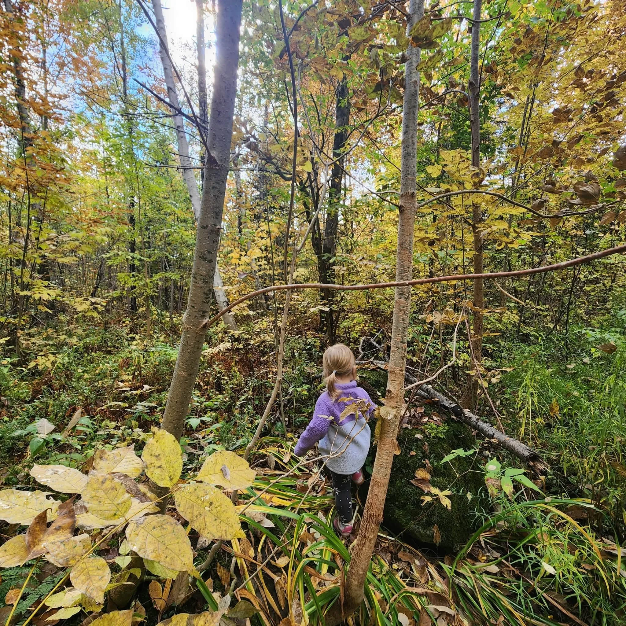 Our Favorite Fall Activities with a Toddler