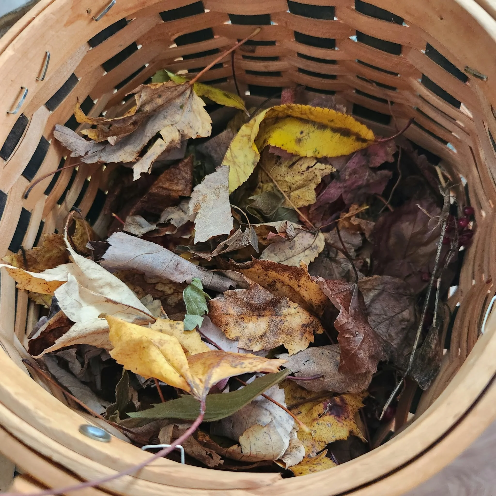 A pile of dried yellow and brown leaves in a brown basket