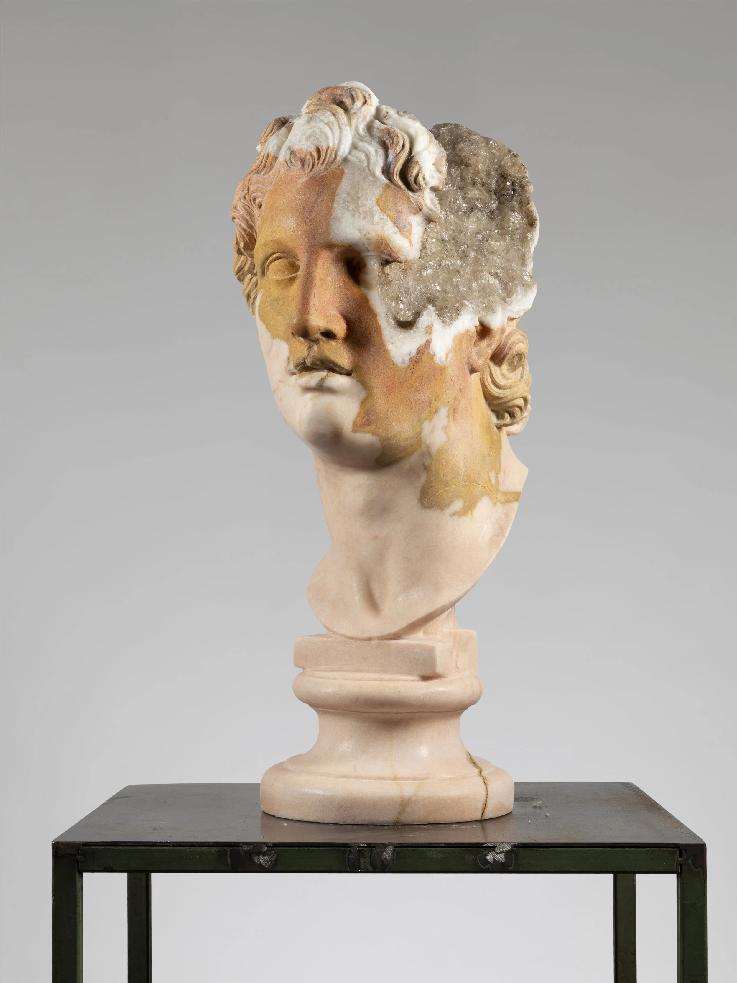 MPelletti_Alessandro Magno.jpg