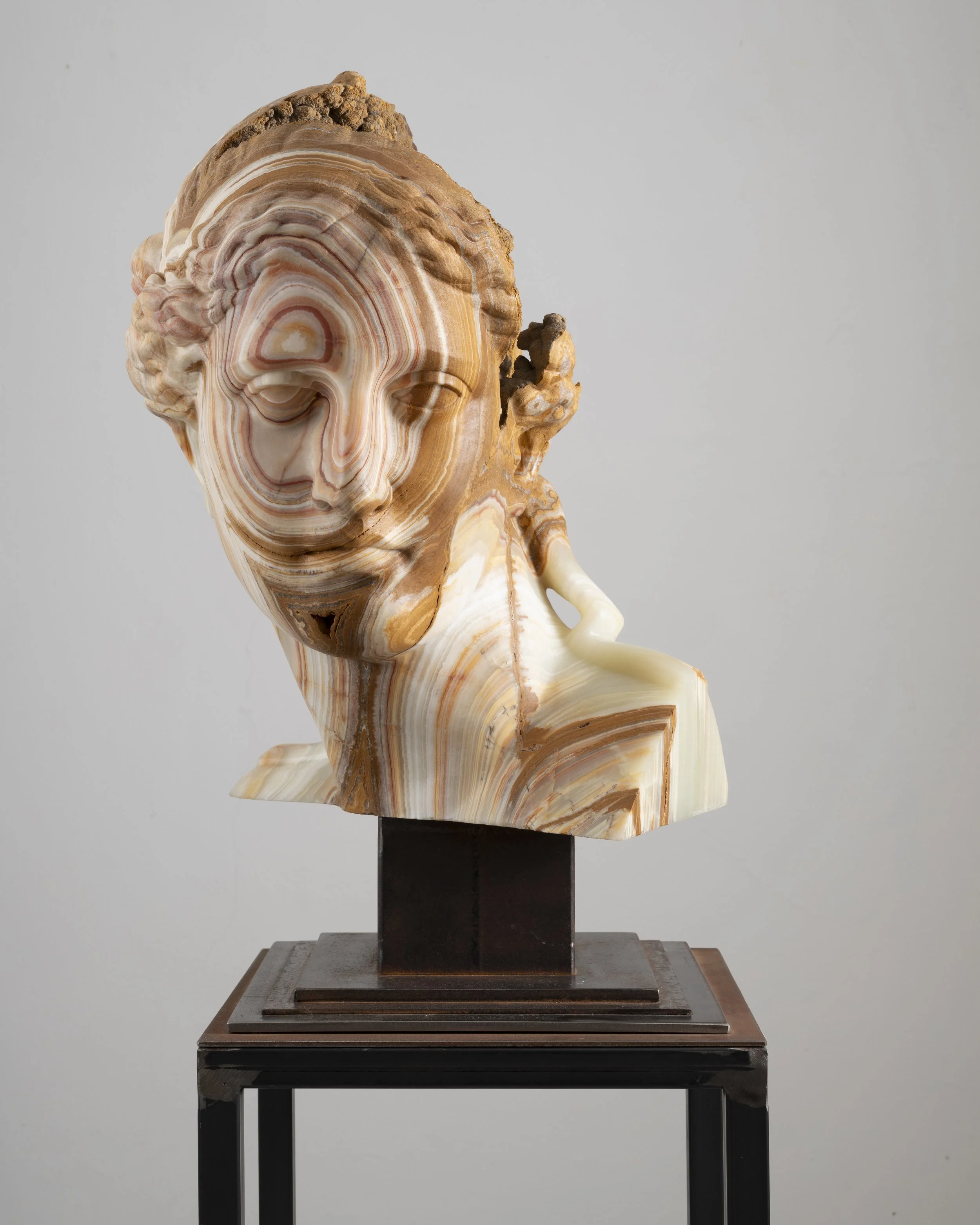 MPelletti_Vertigo Venus.JPG