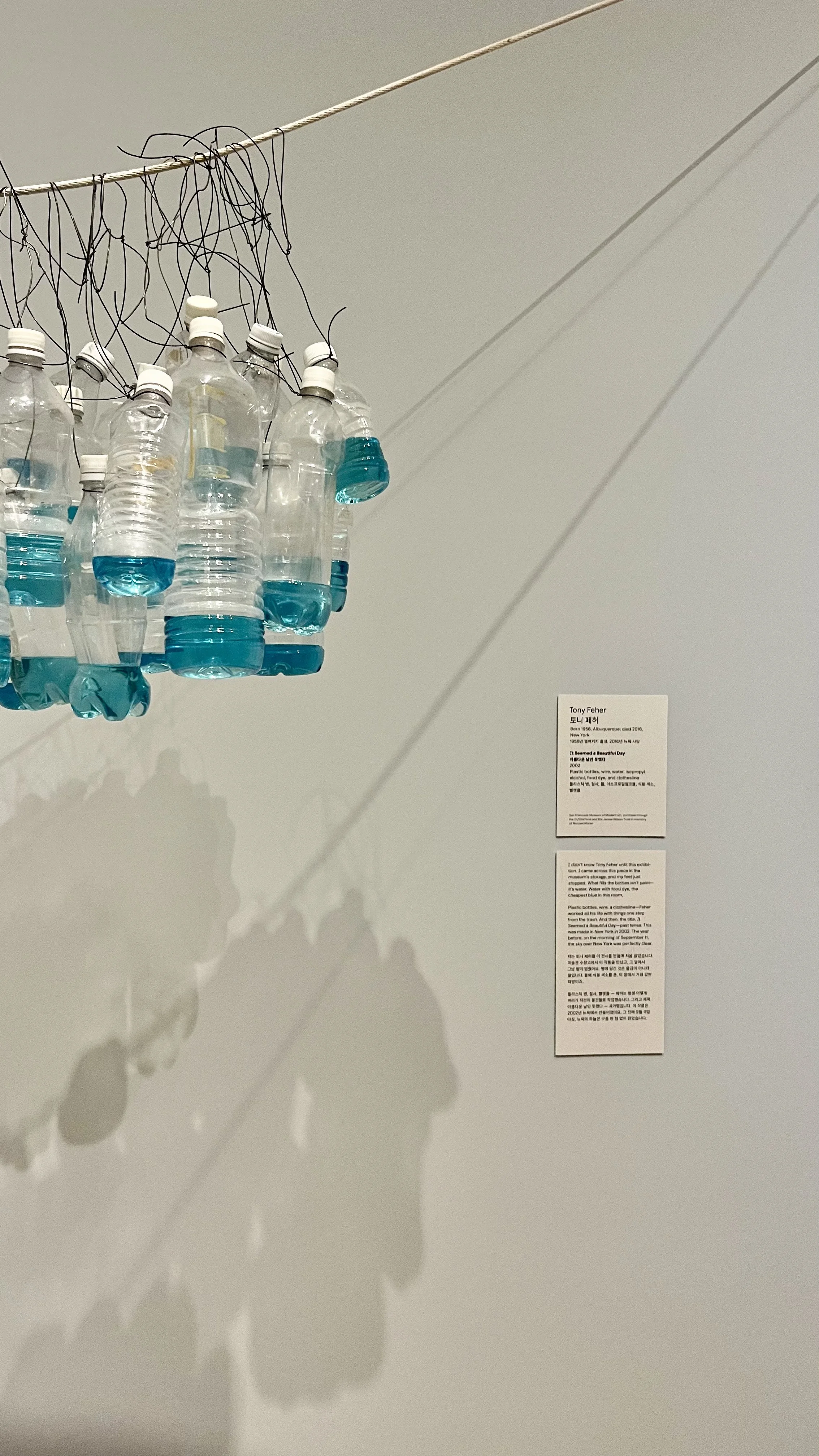  Tony Feher, It Seemed a Beautiful Day (2002). SFMOMA. Photography © The Noun. 