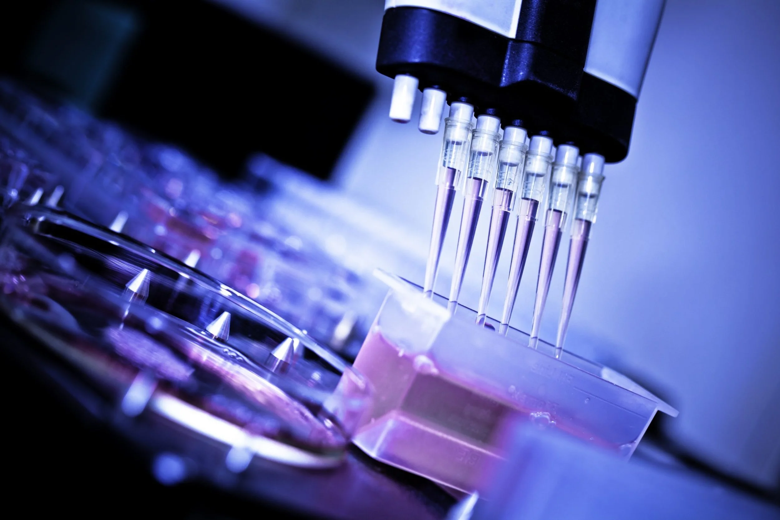 Pharma, Biotech &amp; Advanced Materials Forum: Aligning Industry Priorities with Translational Capability