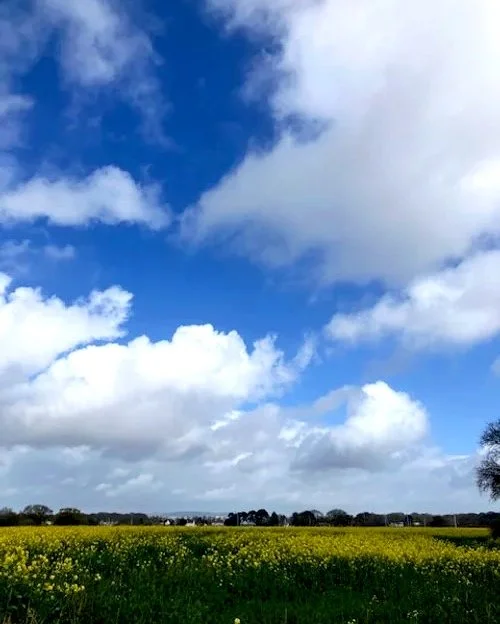 Introductory workshop 1: meditation made simple-one breath at a time