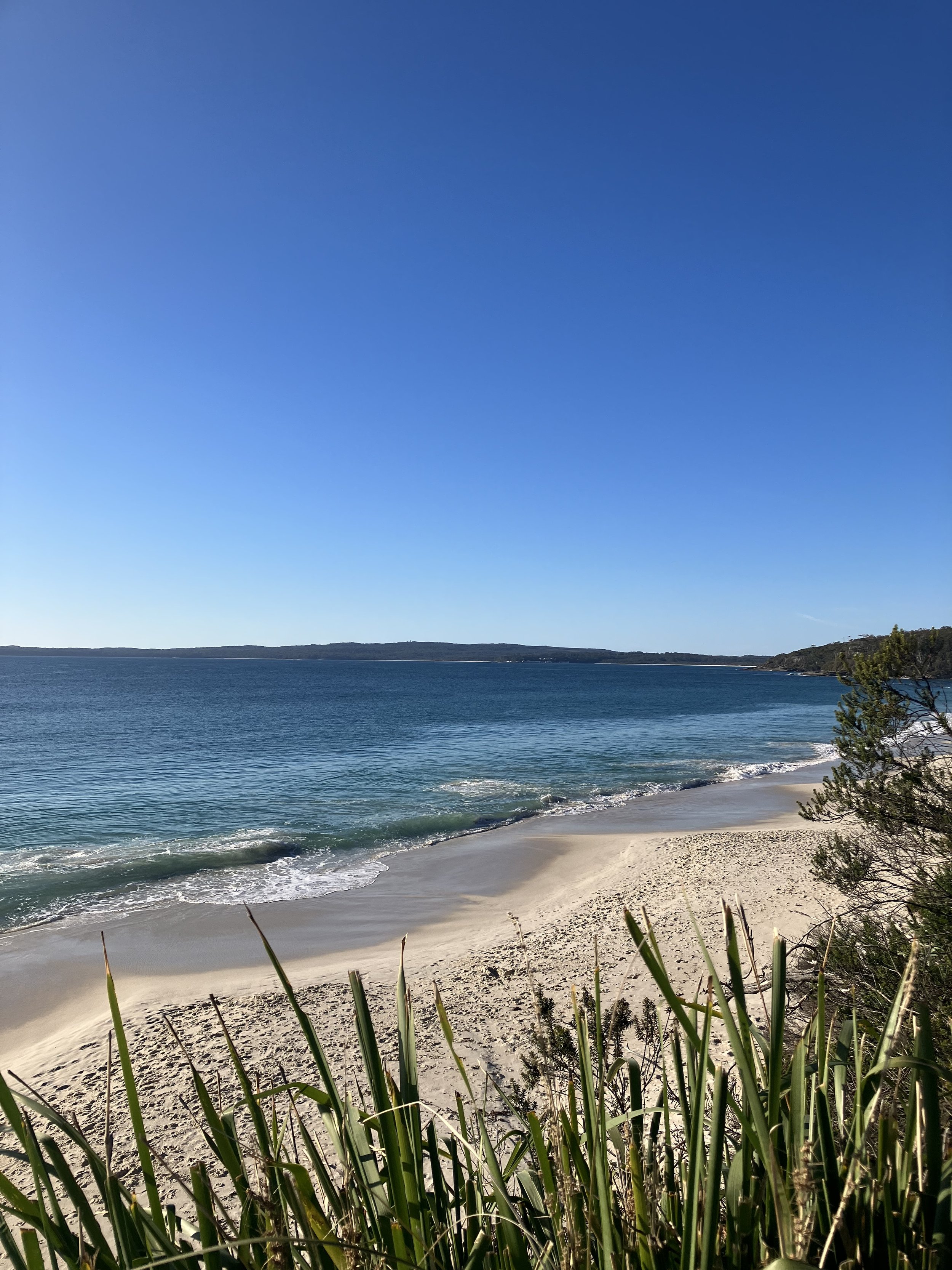 Beach with white sand, calm blue water, and clear sky, with greenery in the foreground.