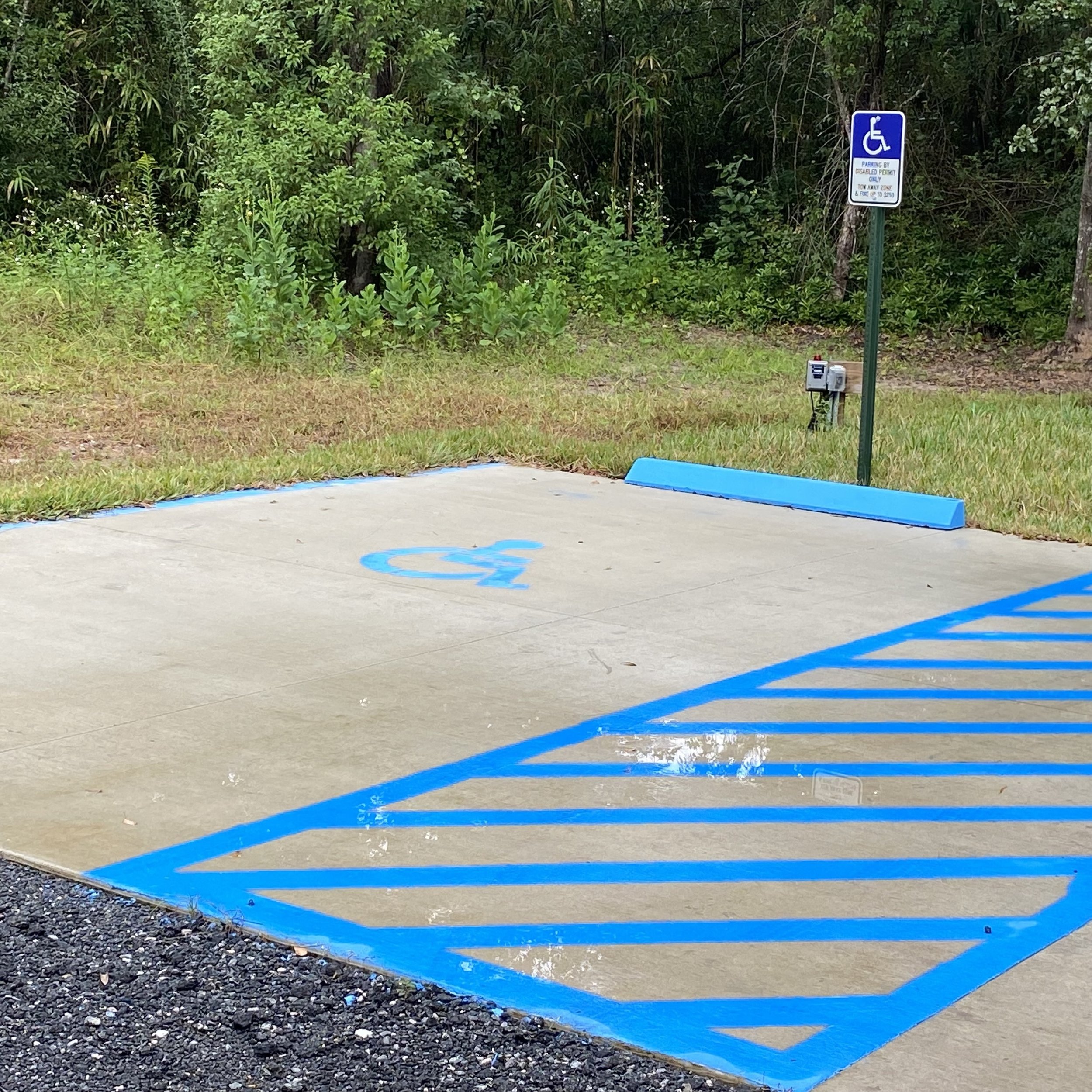 Handicap parking space with blue markings and a sign in a wooded area.