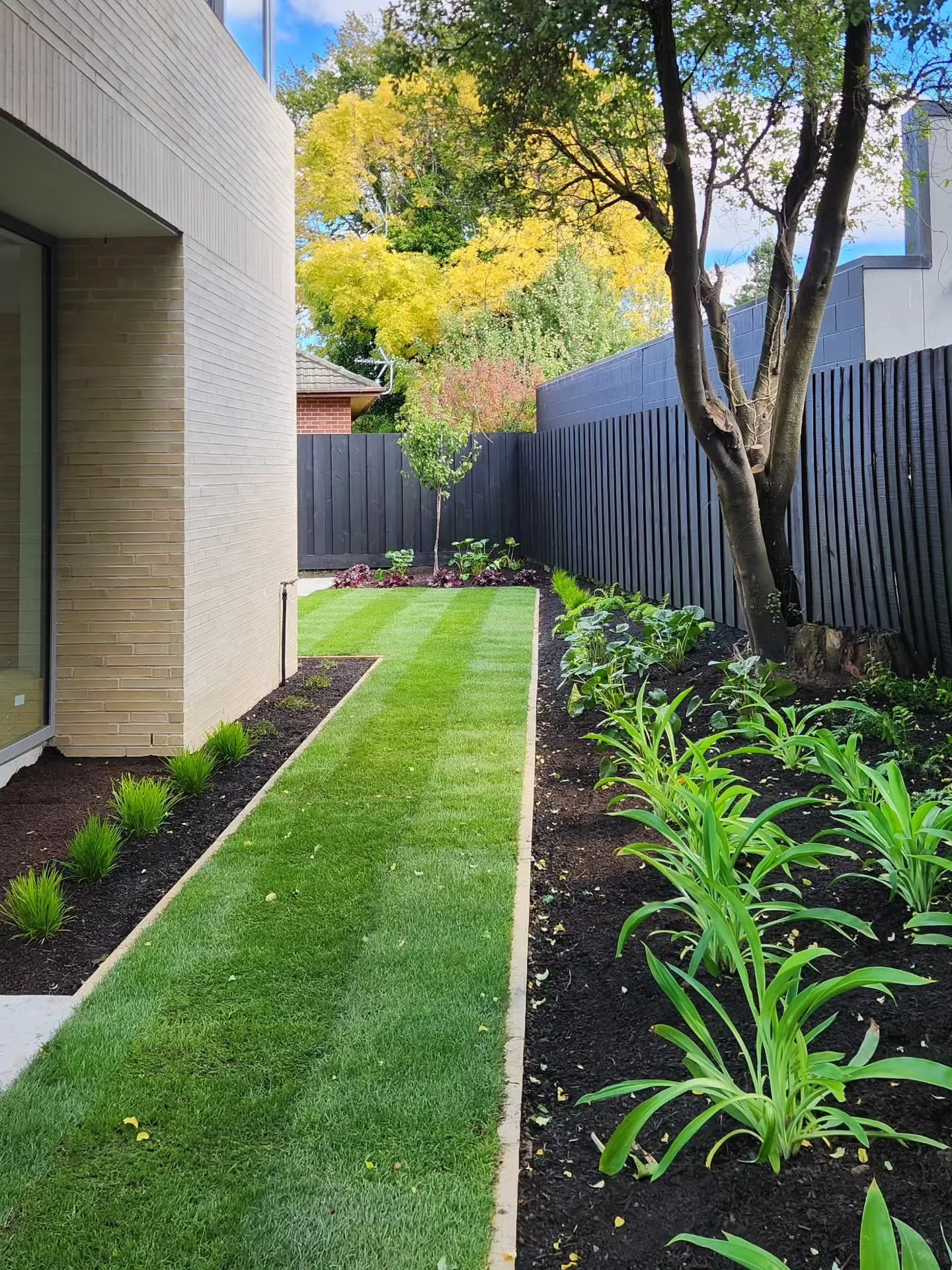 Freshly landscaped and ready for some more sunshine &mdash; clean lines, healthy turf, and low-maintenance planting for a modern, functional outdoor space. 

#landscapeconstruction #softscapes #lowmaintenancegarden #outdoorspace