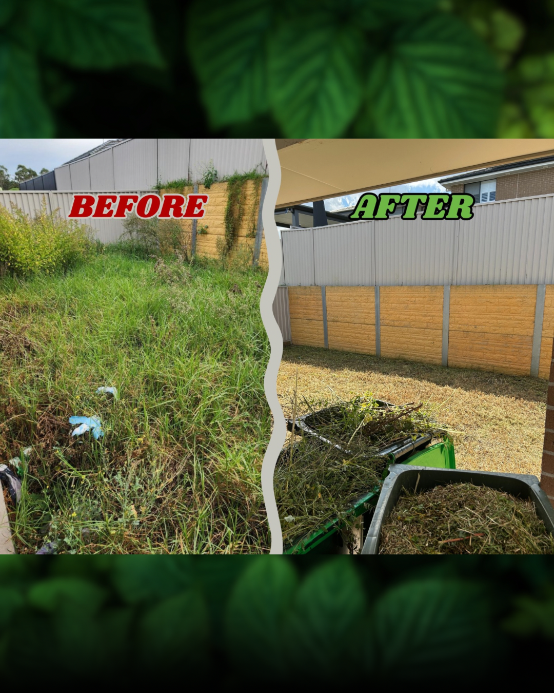 Side-by-side comparison of a backyard, showing overgrown weeds and grass in the left 'Before' section, and a well-maintained, clean yard in the right 'After' section.
