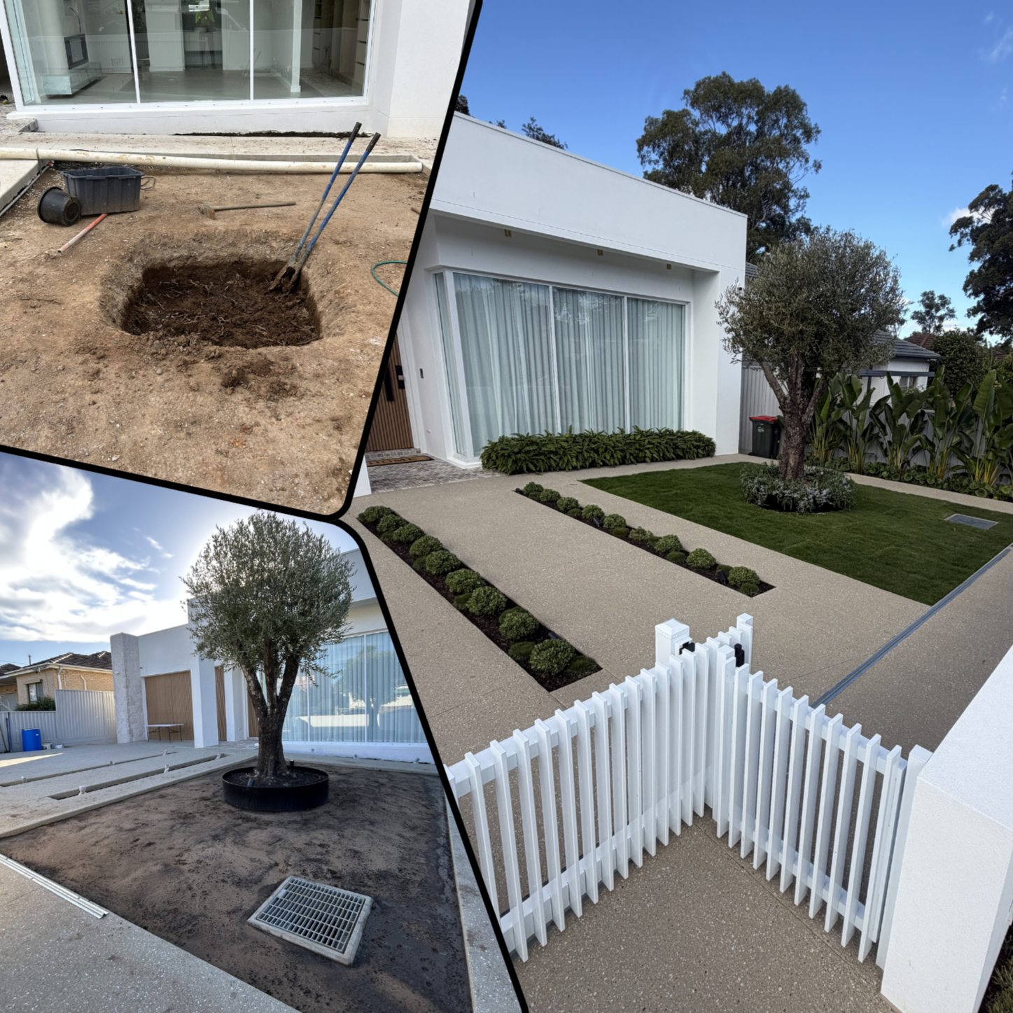 The image depicts a backyard renovation project. The top left shows soil excavation with tools and pipes. The bottom left shows a tree planted in the ground with a circular border, and the right side displays a completed landscaped yard with a white modern house, a tree, grass, and paved walkways.