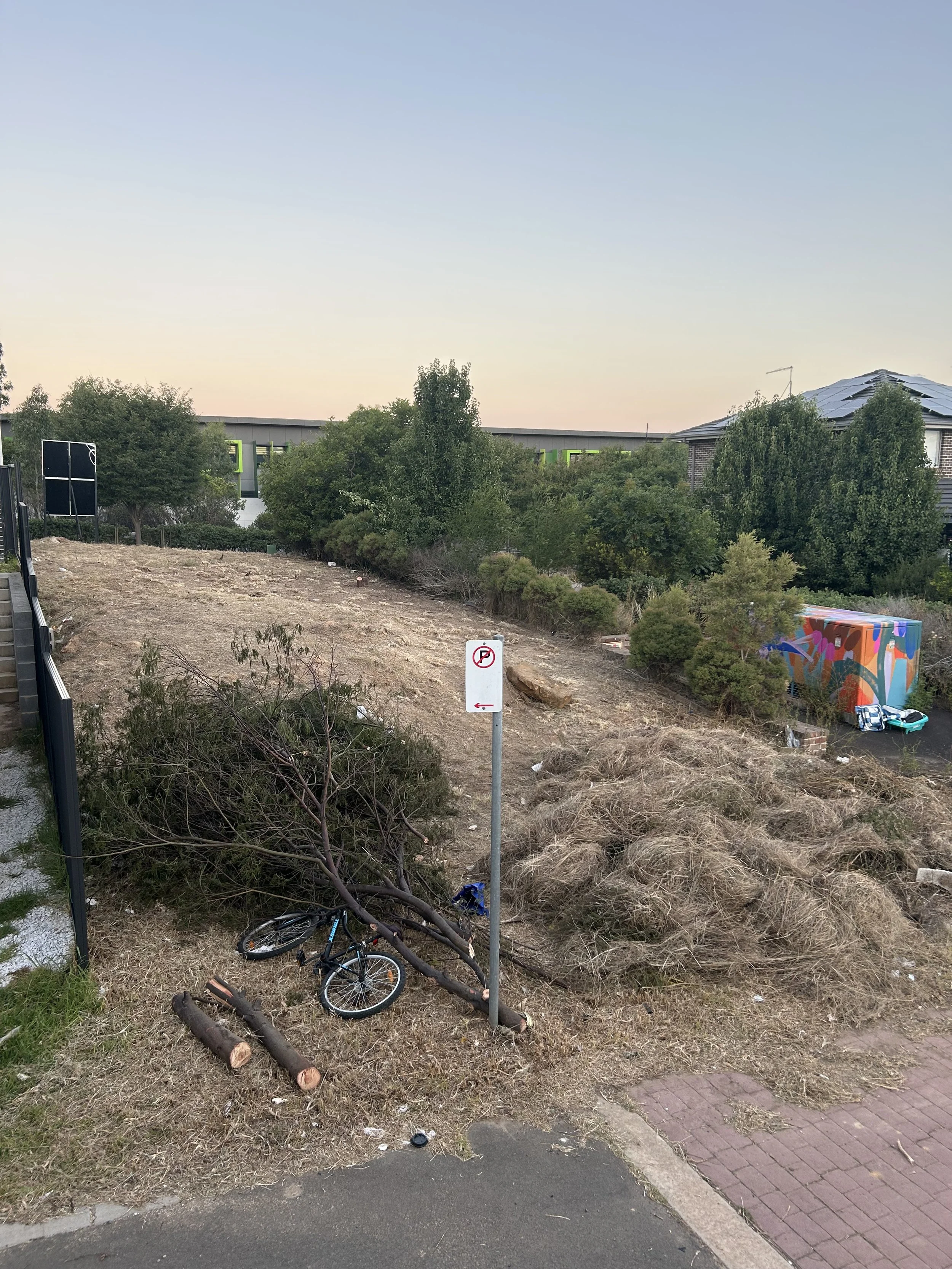 A small bicycle is knocked over and caught under a fallen tree branch. There is a 'no parking' sign in the foreground, with some cut logs and dry grass on the ground. In the background, there is an urban landscape with trees, a graffiti-painted structure, and a paved area with two small cars.
