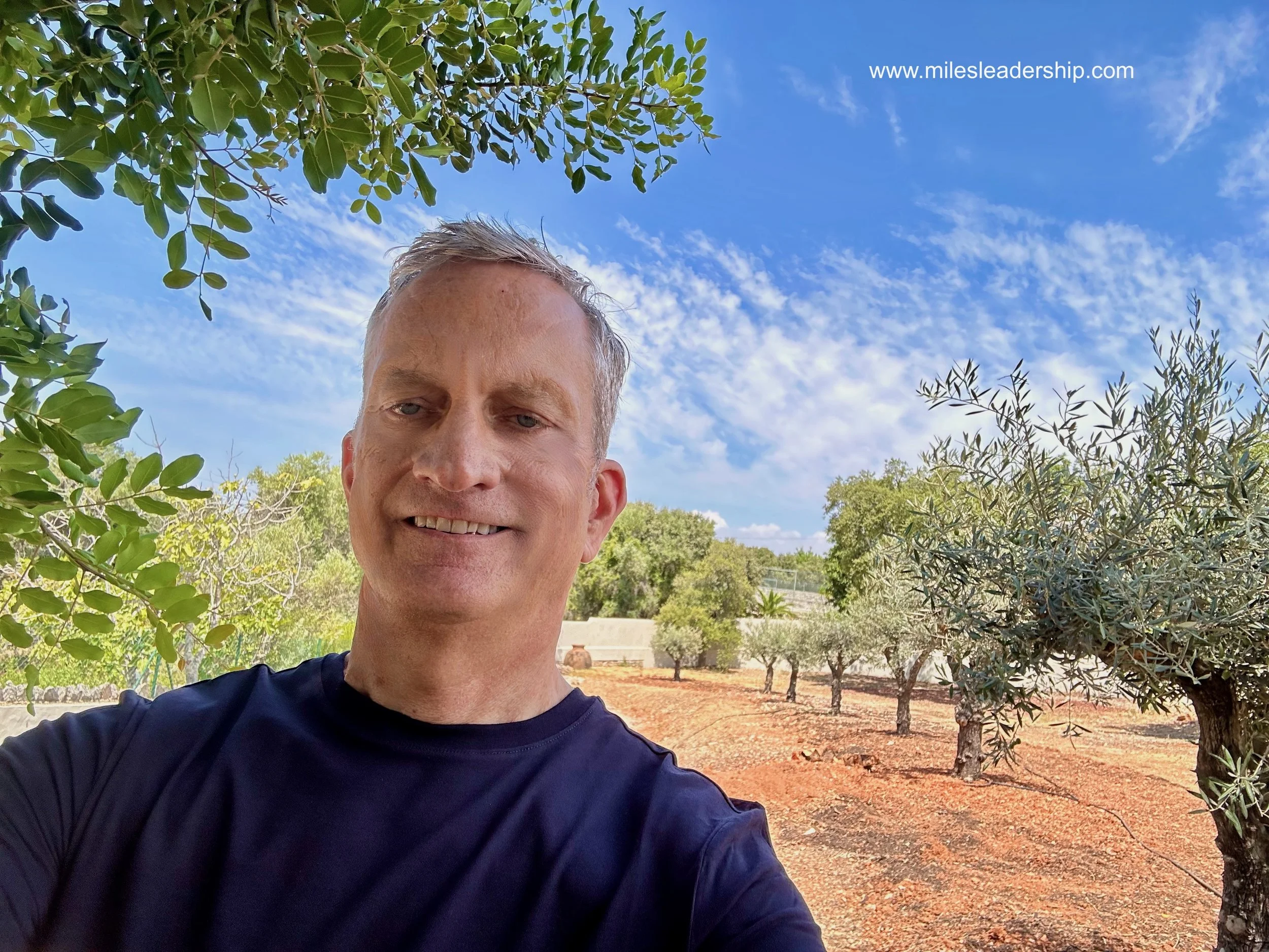 Seven olive trees