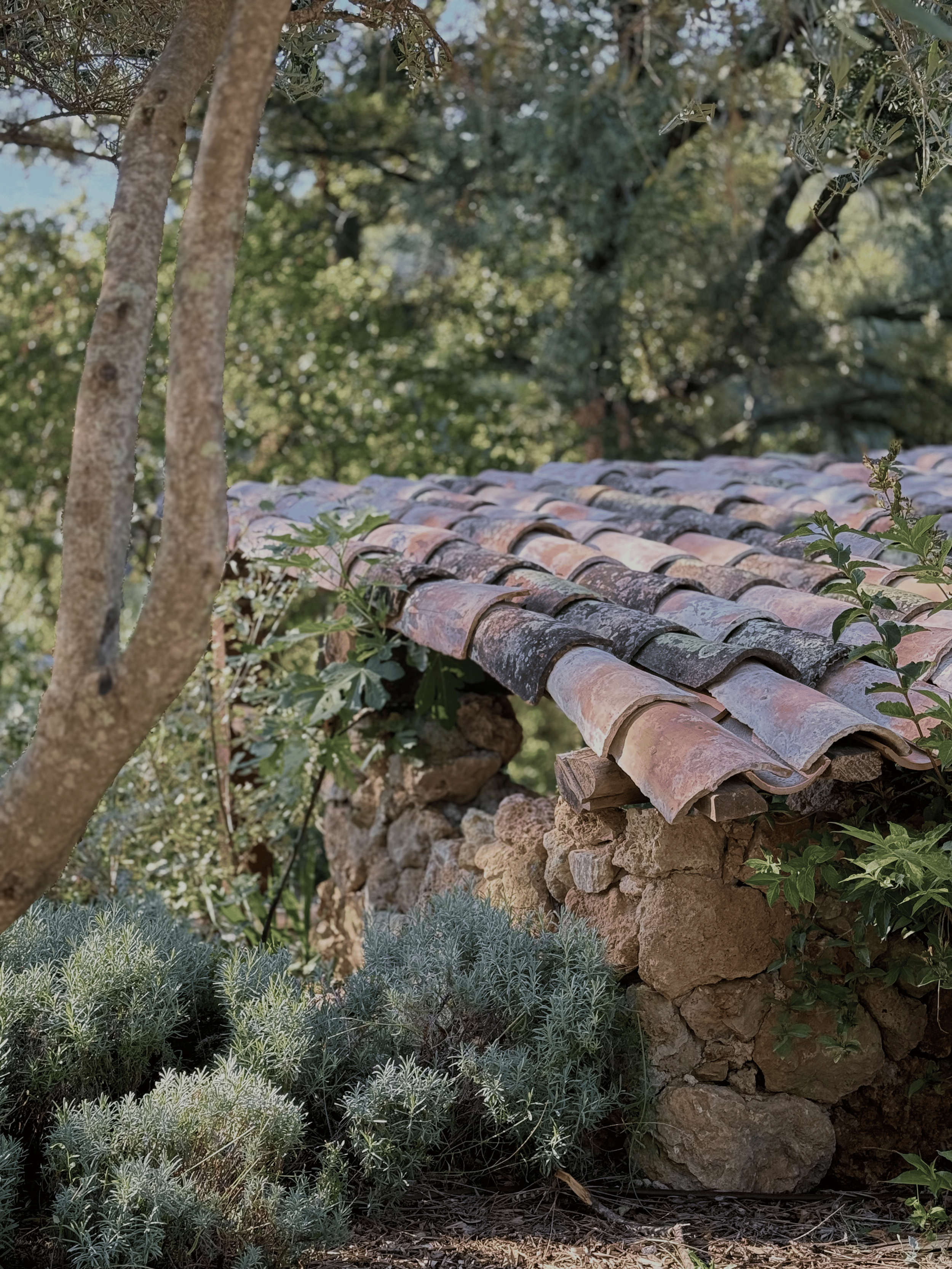 A rustic stone wall with a clay tile roof, surrounded by greenery and trees in the background.