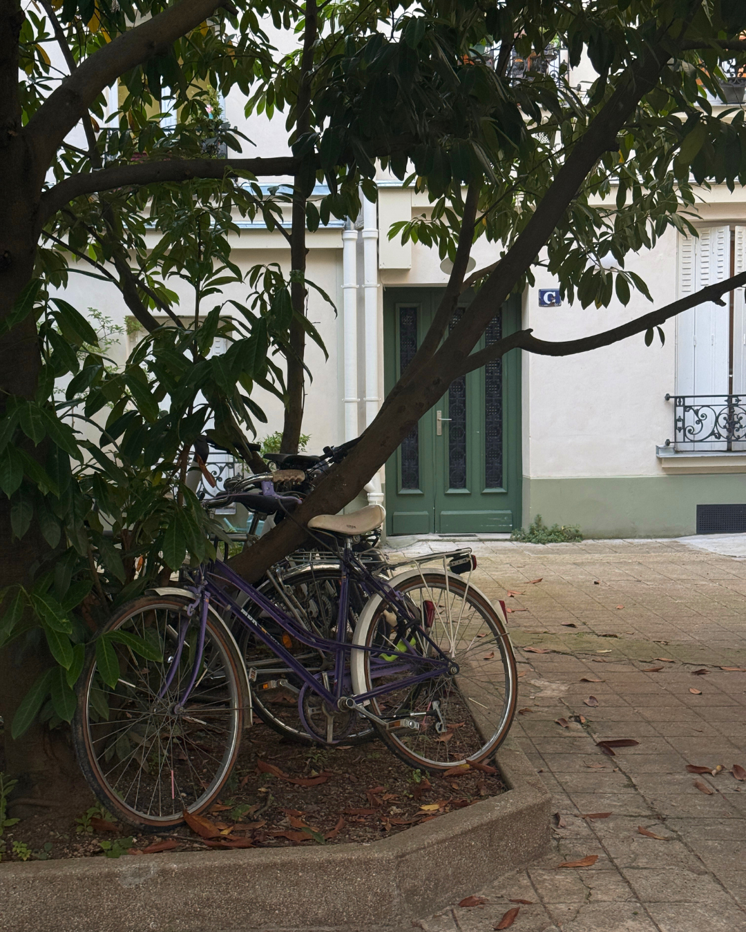 48 Hours In Paris.zip - 9.png