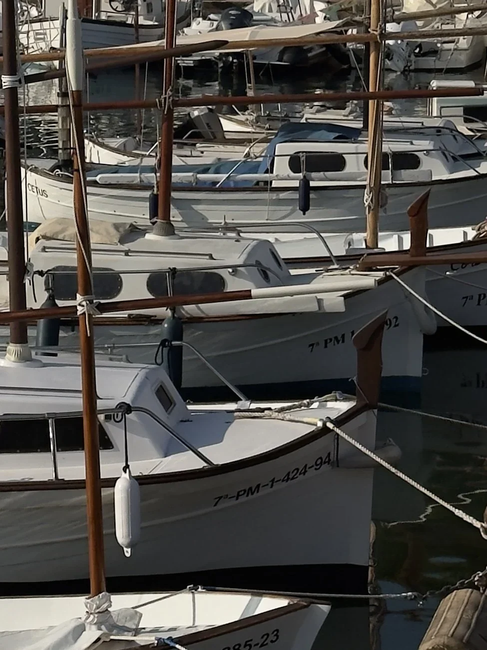 Several small sailboats docked at a marina, tied to the pier, with their masts and rigging visible.
