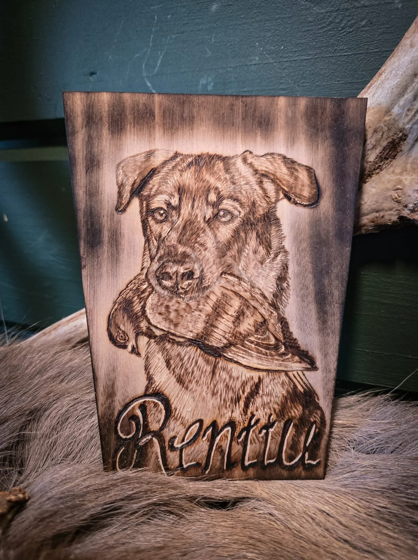 WhatsApp Image 2026-04-19 at 10.32.08u.jpeg