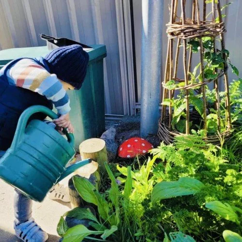 A child using a watering can to care for the vegetable garden at Happy Days Taradale, learning about kaitiakitanga and sustainability through hands-on play.
