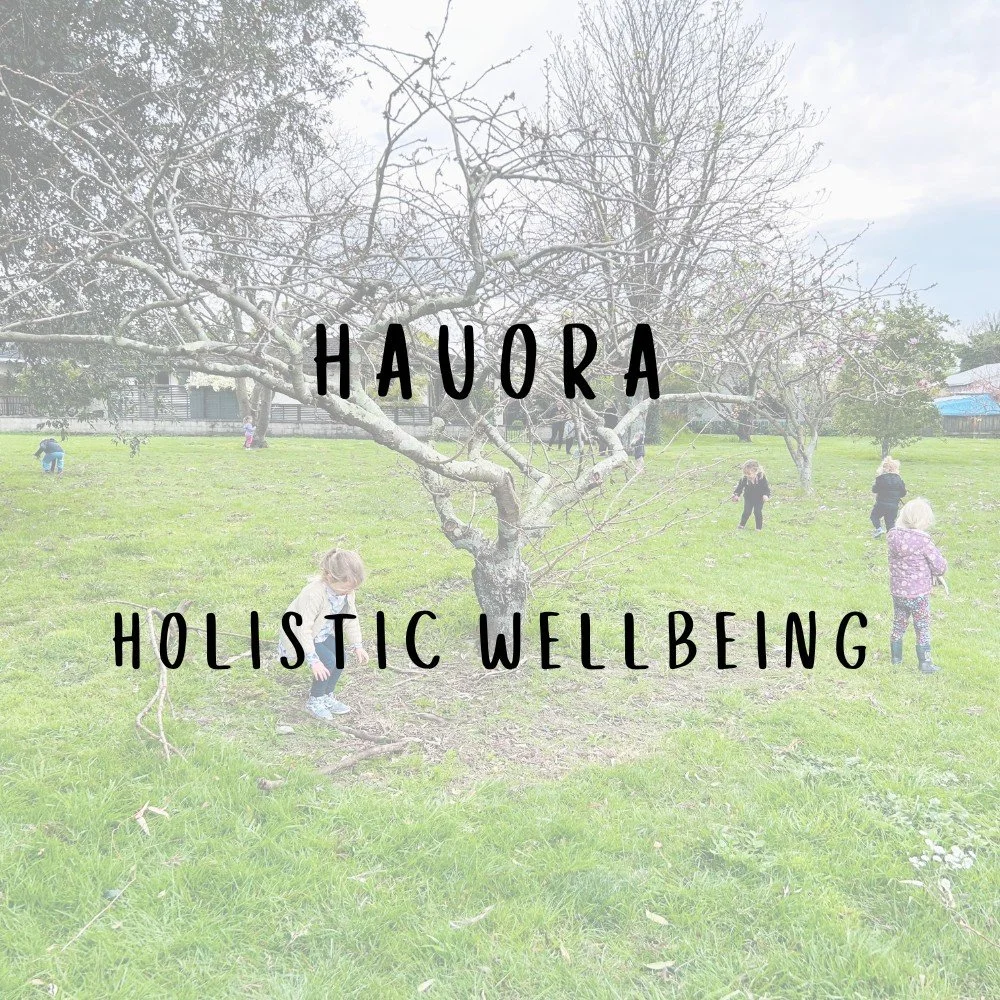 Children exploring a grassy outdoor space beneath bare-branched trees in Taradale, embodying hauora and holistic wellbeing at Happy Days Childcare.