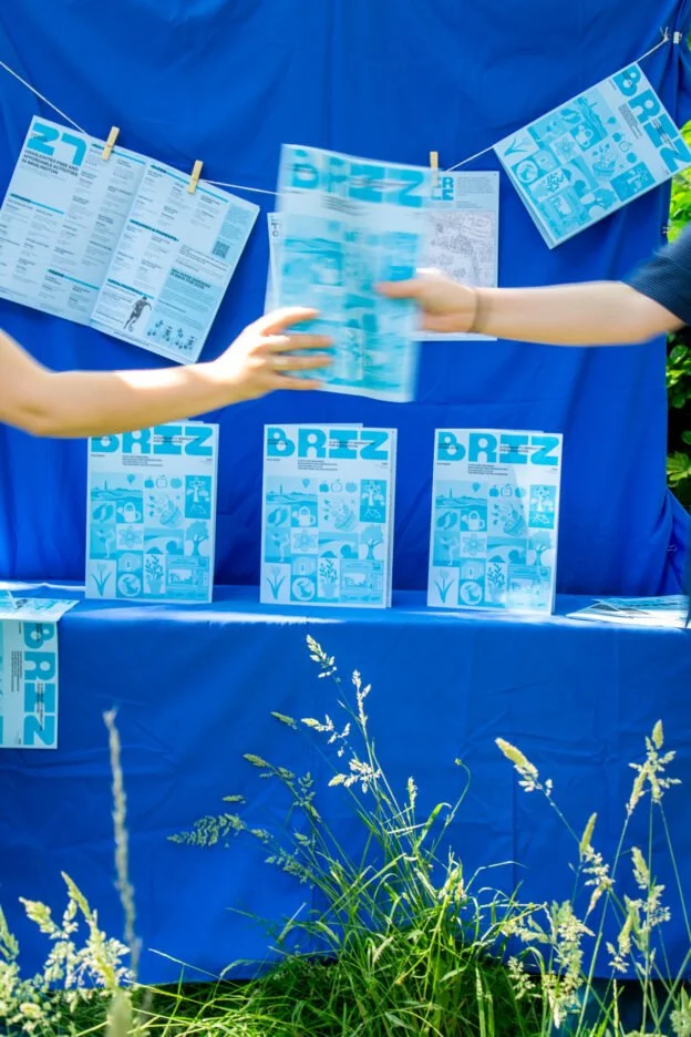 BRIZ-Summer-9-624x936.jpg