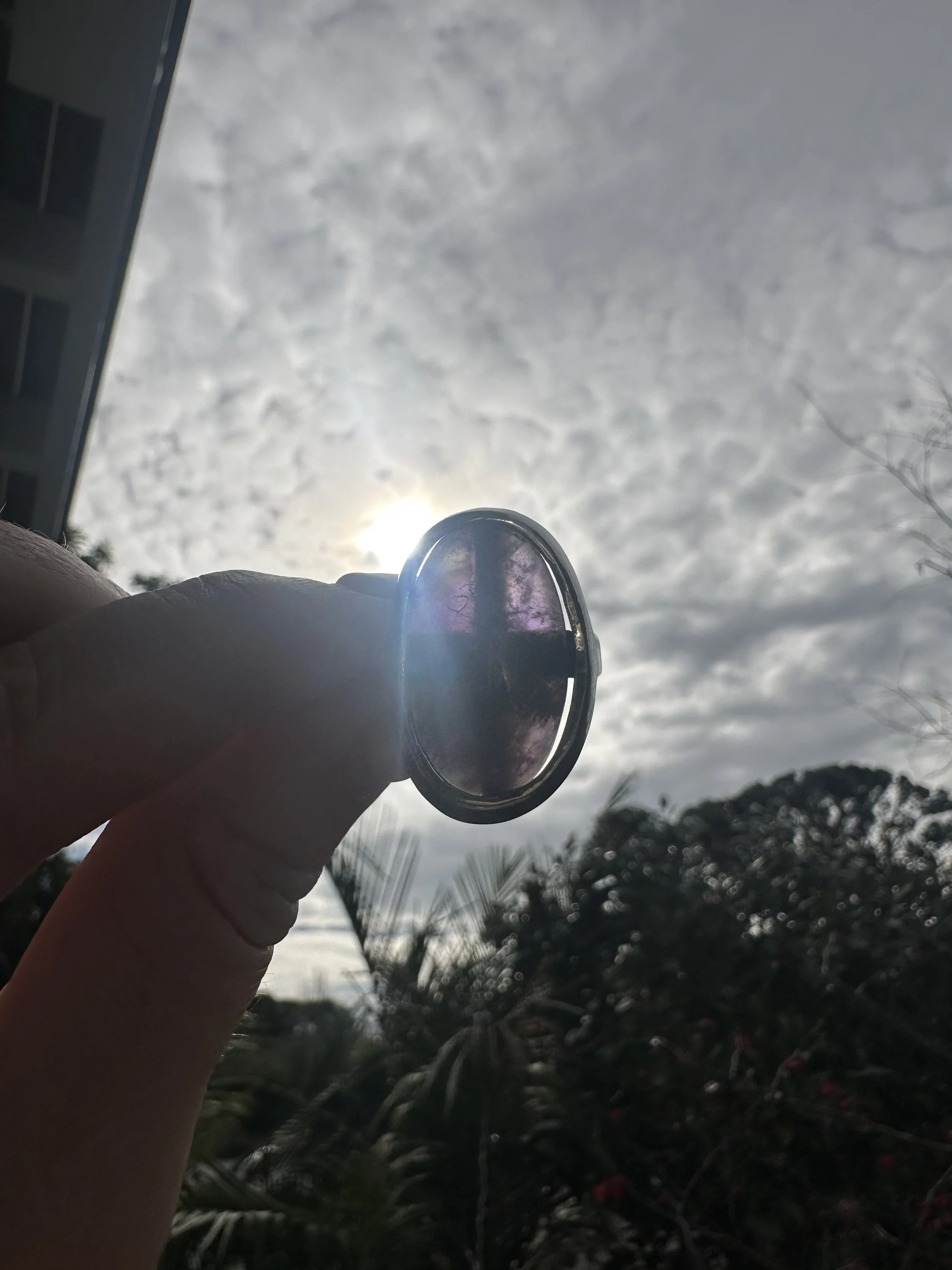IMG_6893.jpeg
