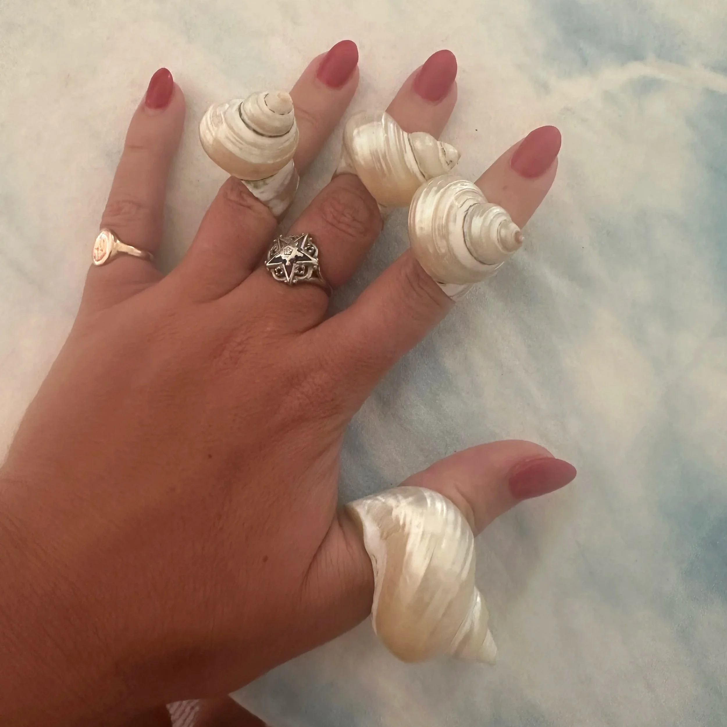 Trochus / Turban shell rings / pendants