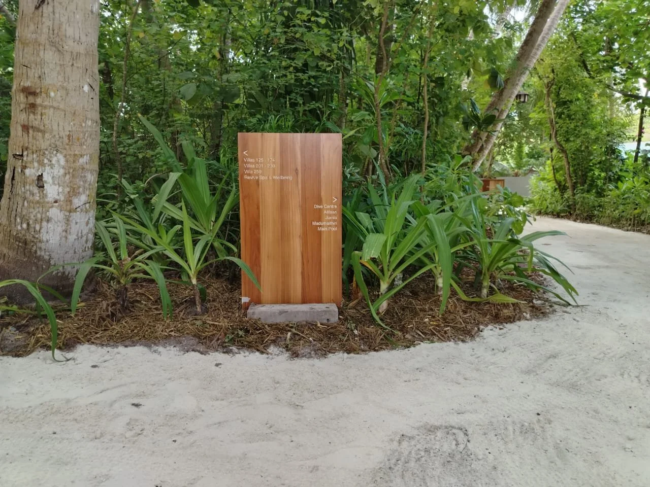 A wooden directional signboard in a lush green garden with plants and trees, on a sandy pathway.