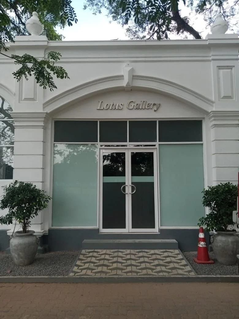 White building with an arched entrance labeled 'Lotus Gallery,' flanked by two potted plants and a traffic cone near the right plant.