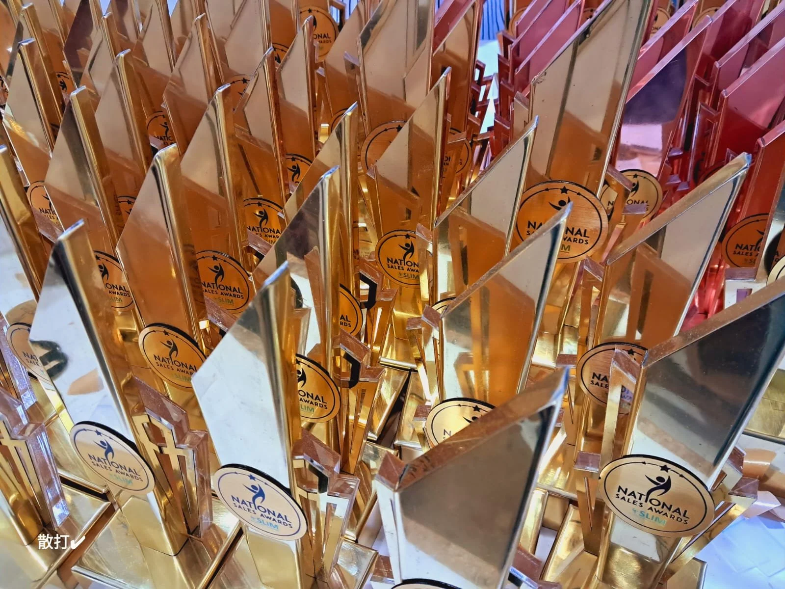 Multiple gold and rose-colored awards with the logo for the National Sales Awards, arranged in rows.