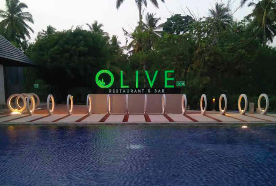 Night view of a poolside with illuminated signs for "OLIVE" restaurant and bar, surrounded by palm trees.