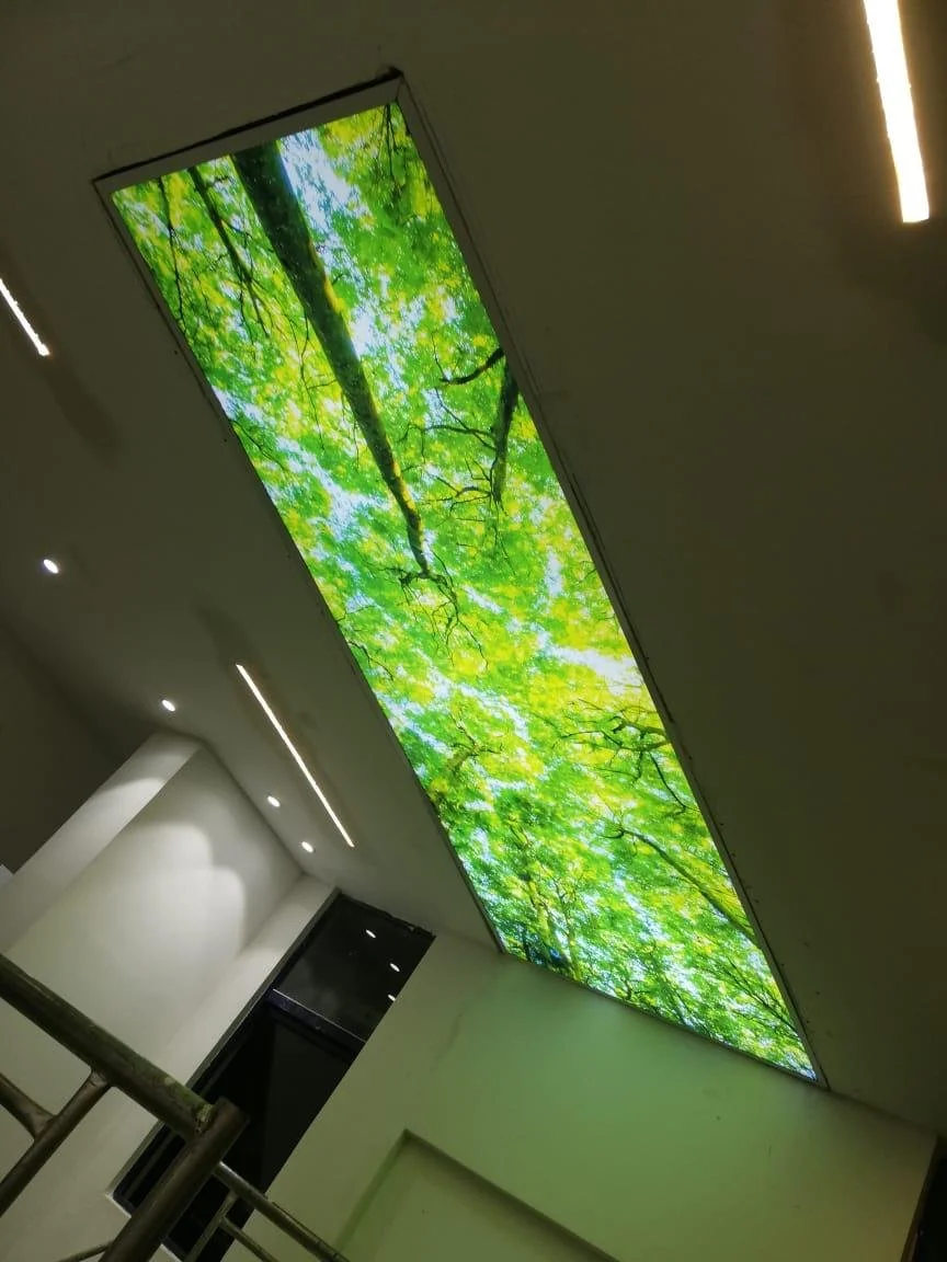Ceiling LED display showing a bright green forest with tree branches and leaves