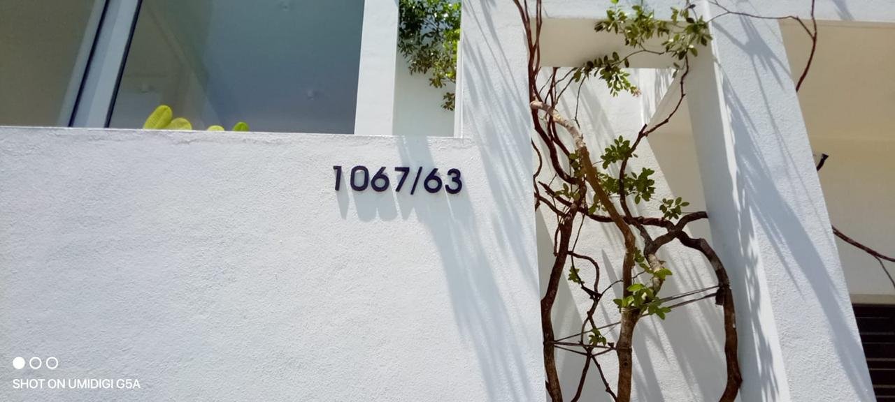 White wall with house number 1067/63 and shadows of tree branches and leaves