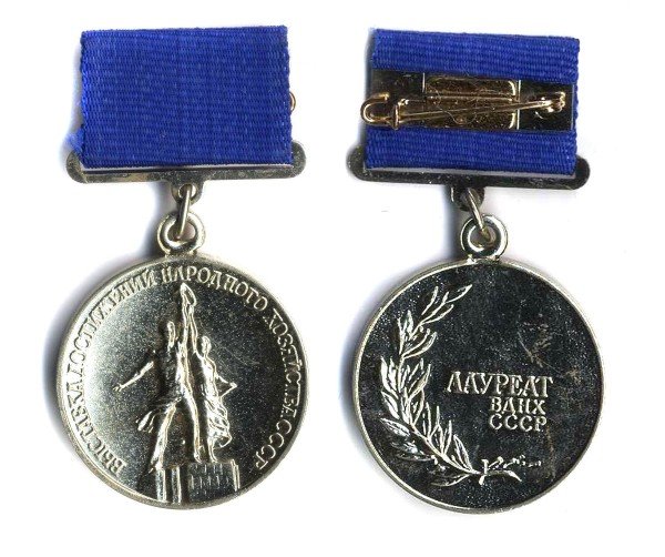 Two Soviet military medals with blue ribbon bars, one showing a soldier raising a flag and the other with Cyrillic inscription and a laurel branch.