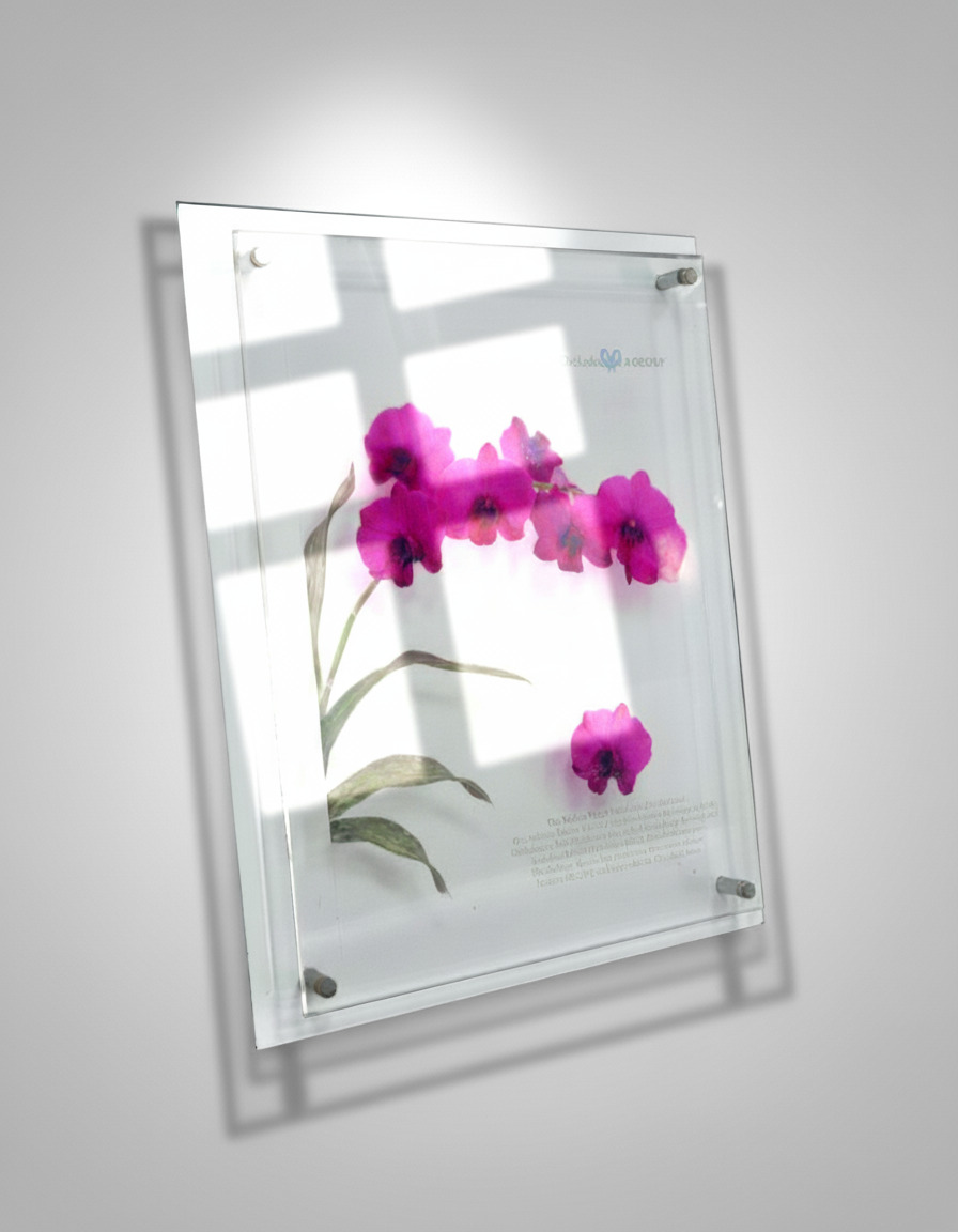 Glass frame with a photograph of pink flowers behind it, mounted on a white wall, with shadows cast on the wall.