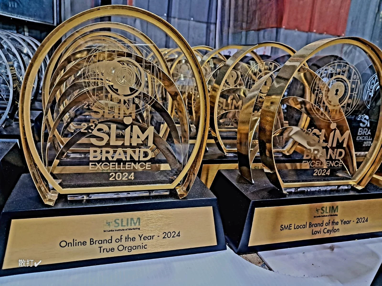 Multiple gold and clear glass awards for 'Online Brand of the Year - 2024' and 'SME Local Brand of the Year - 2024' displayed on a table.