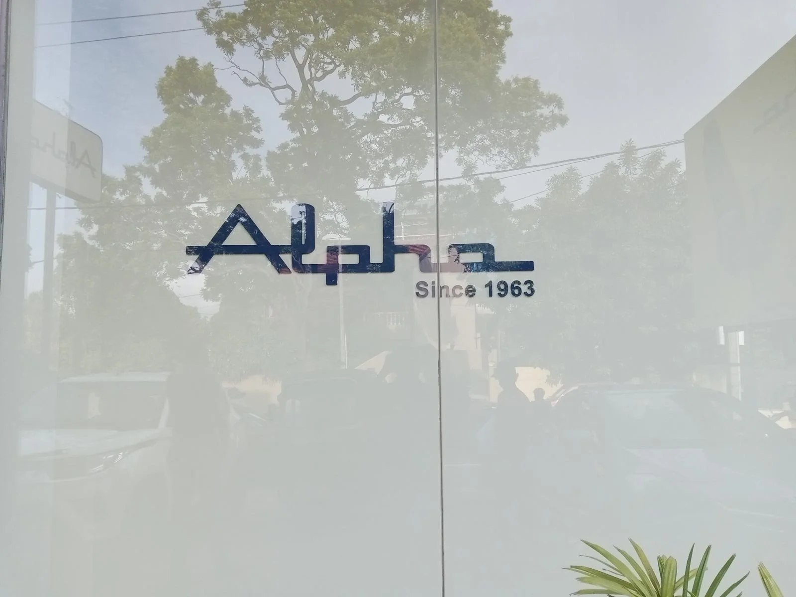A window with a logo and text that reads 'Since 1963'. The logo contains stylized Arabic script in black, purple, and red, with a reflection of trees and cars visible through the glass.