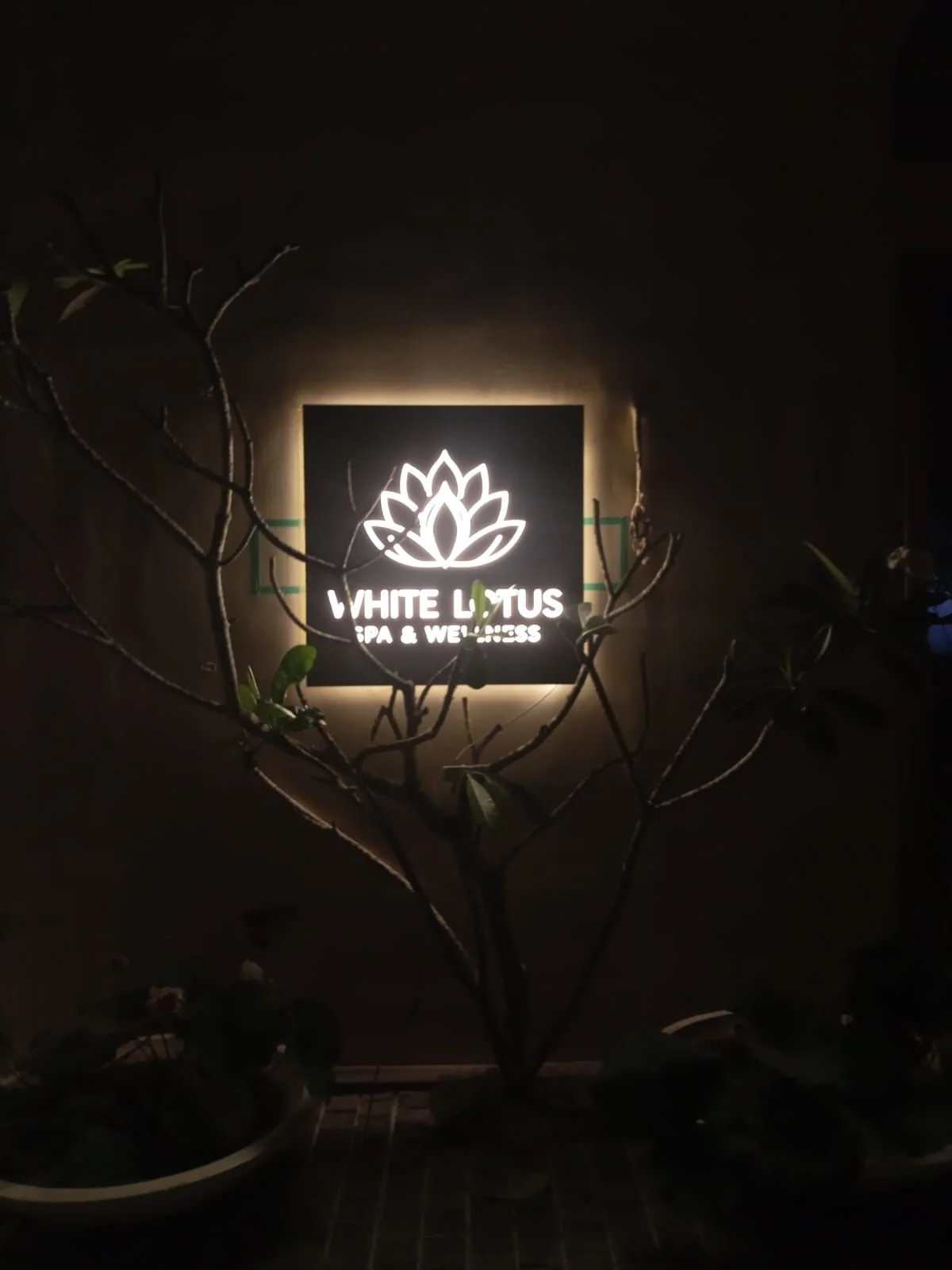 Illuminated sign for White Lotus Spa & Wellness, featuring a lotus flower logo, placed on a wall at night, partially obscured by tree branches and leaves.