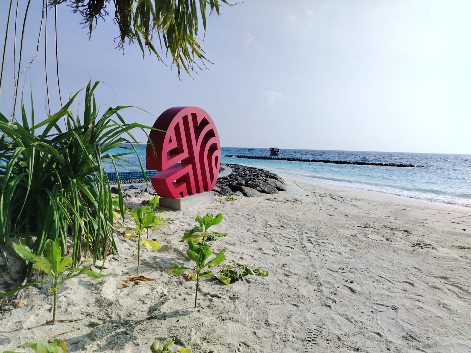 A sandy beach with green plants and a pink circular sculpture with maze-like pattern, overlooking the ocean under a clear sky.