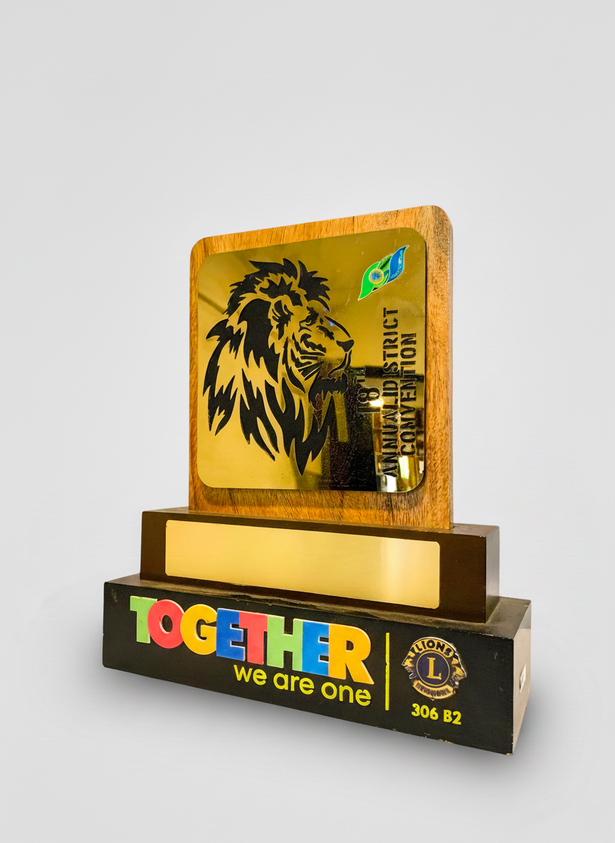 Trophy with a lion's head logo and the text '1958 MINNESOTA LIONS CLUB CONVENTION', colorful blocks spelling 'TOGETHER', and the Lions Club logo with the text '306 B2' and 'we are one'.