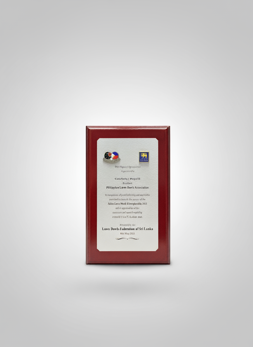 Certificate in a red frame with two pins and a small sticker at the top