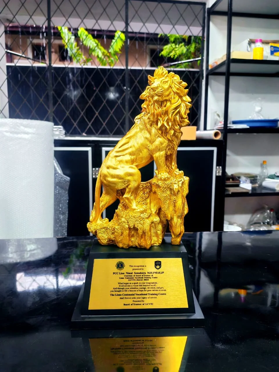 Golden lion sculpture on a black base with an informational plaque, located in an indoor setting with storage shelves and window with plants in the background.