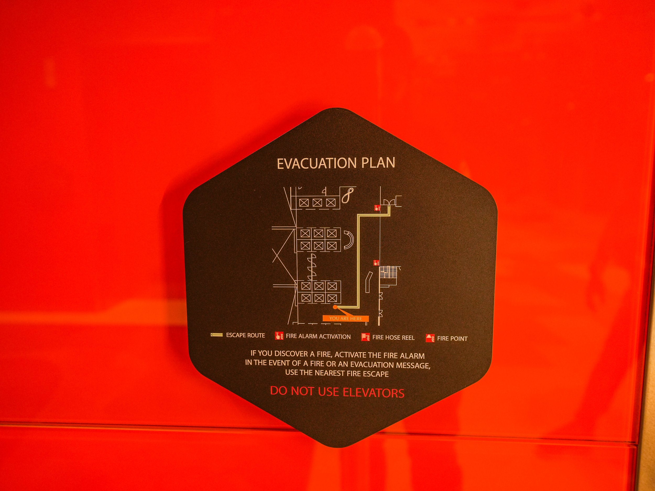 DSC00220.jpg