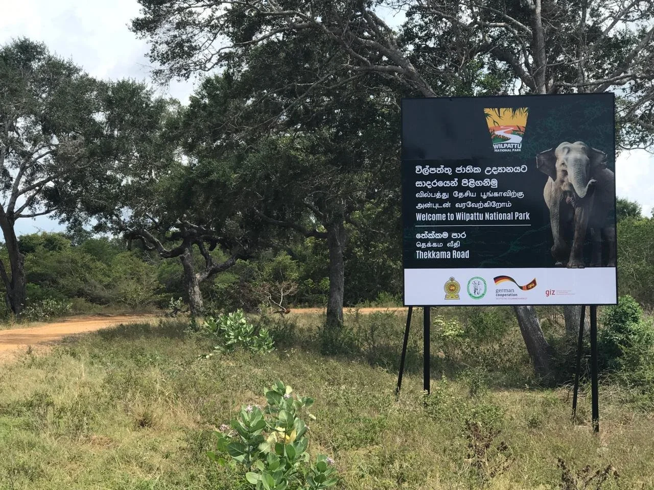 A large digital sign at Wilpattu National Park with a picture of an elephant, welcoming visitors in multiple languages, including English, Sinhala, and Tamil, on a grassy area surrounded by trees.