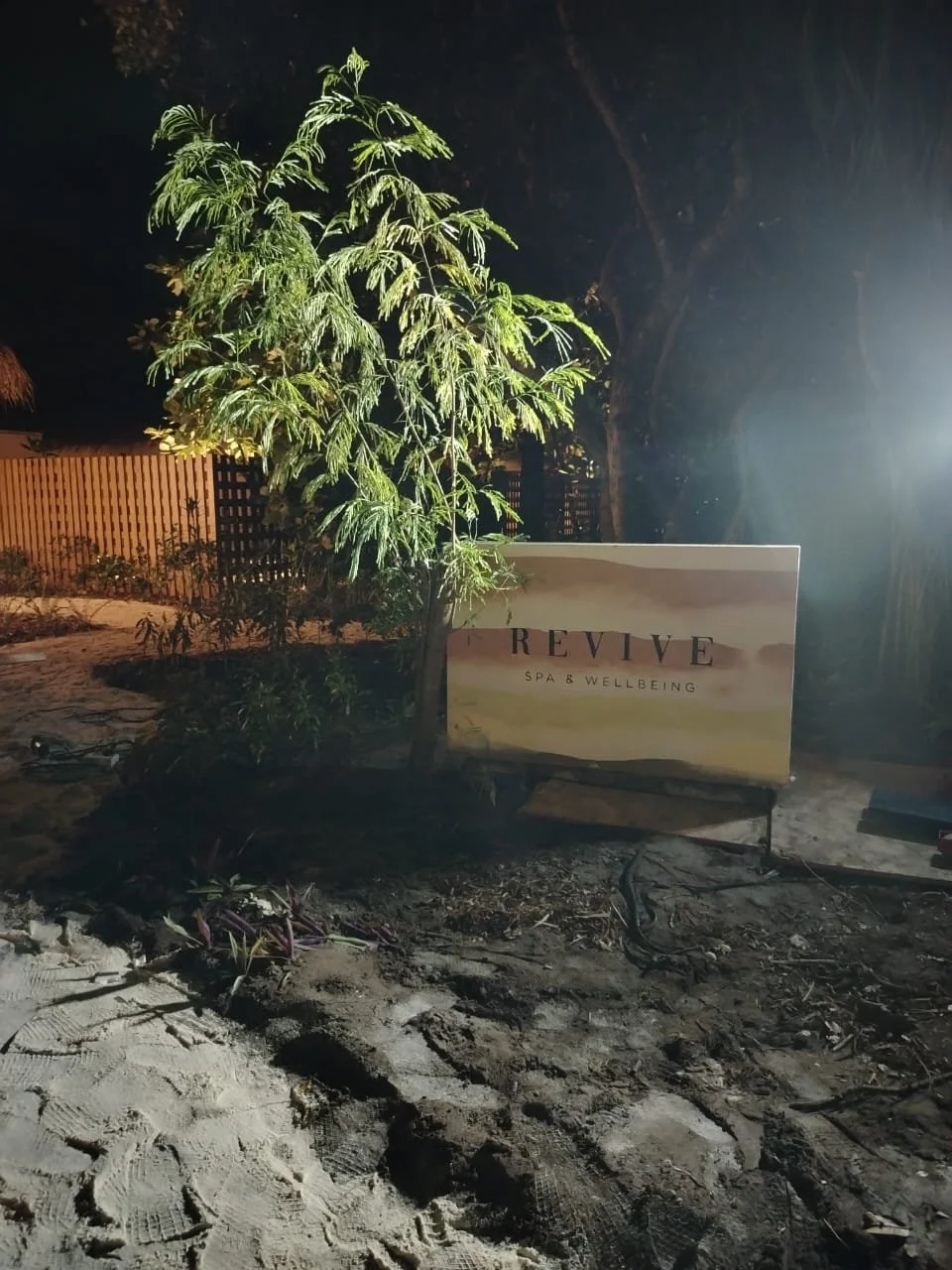 A lit sign that reads 'REVIVE Spa & Wellbeing' next to a small tree at night, with a wooden fence and dark sky in the background.