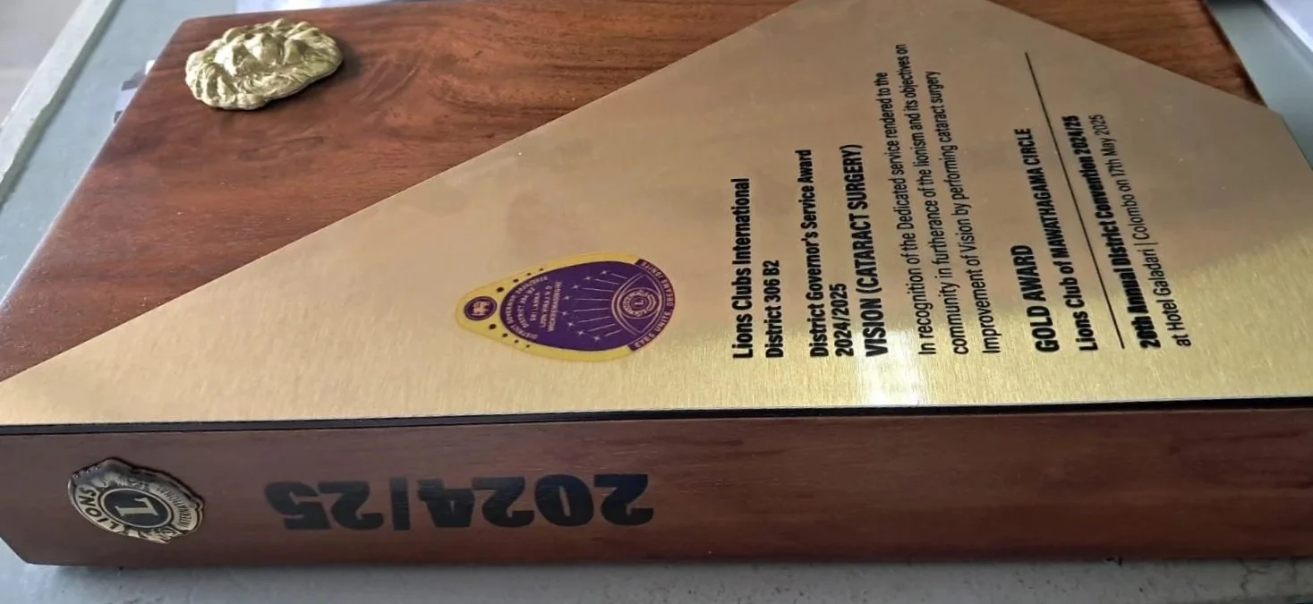 A wooden plaque with a purple and gold Lions Clubs International emblem, a gold award certificate, and a small decorative rock on a wooden surface.