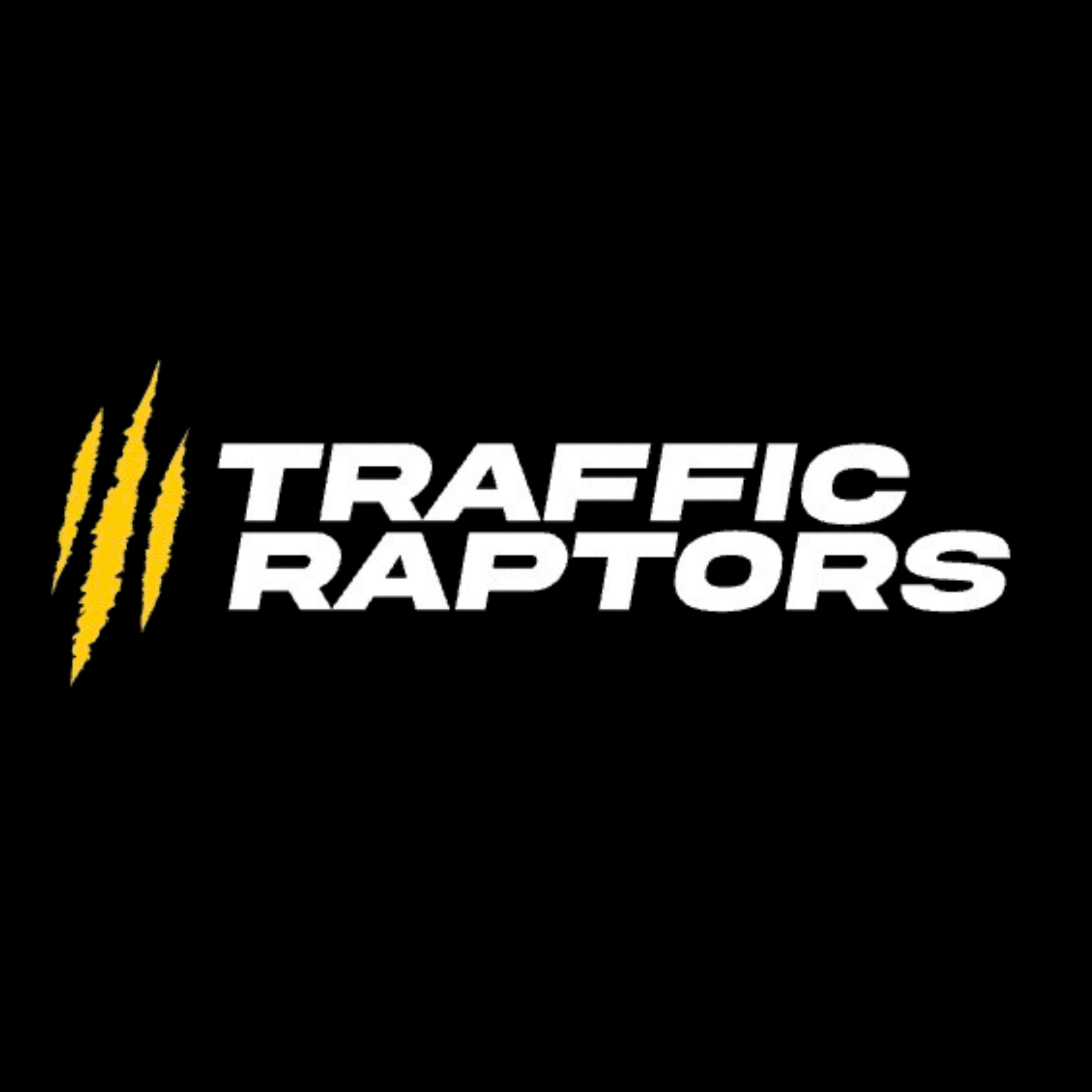 Traffic Raptors · Performance Marketing · Meta Ads · US Market